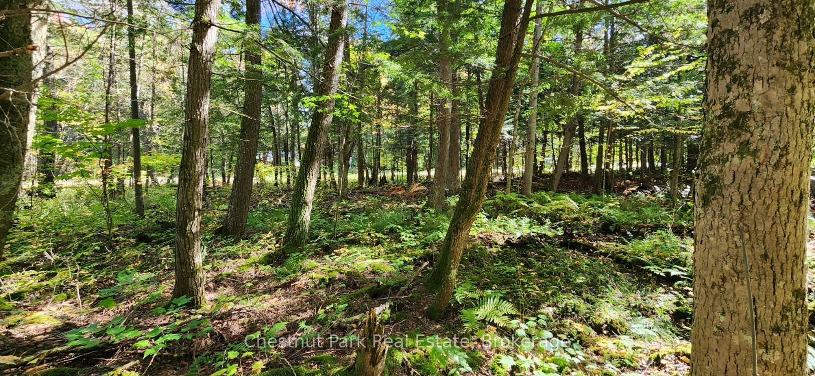 0 Skyline Drive Property Photo 9