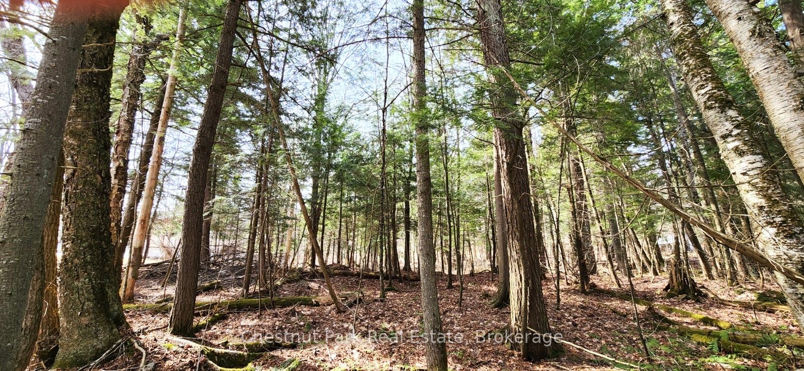 0 Skyline Drive Property Photo 10