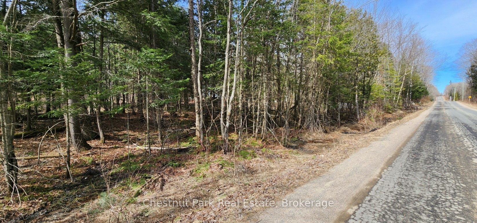0 Skyline Drive Property Photo 11