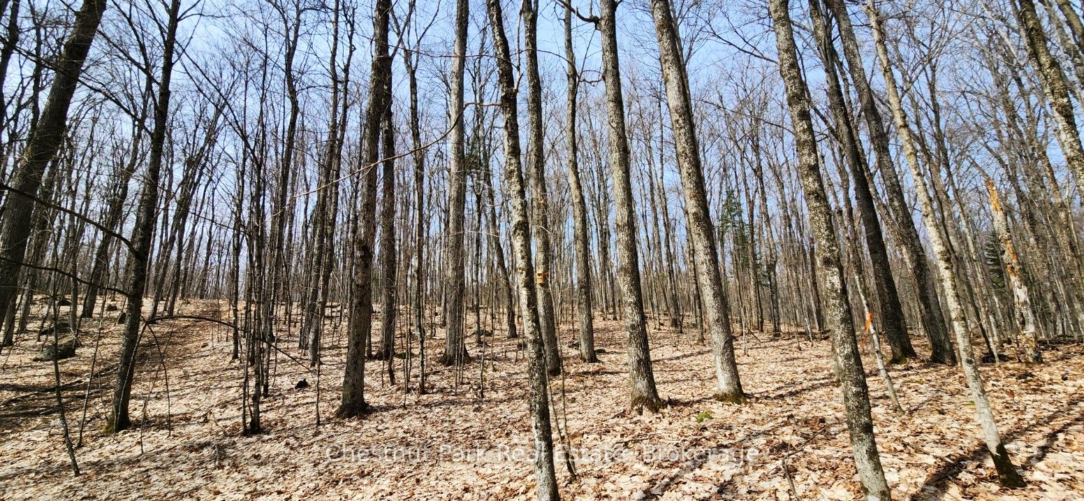 0 Skyline Drive Property Photo 12
