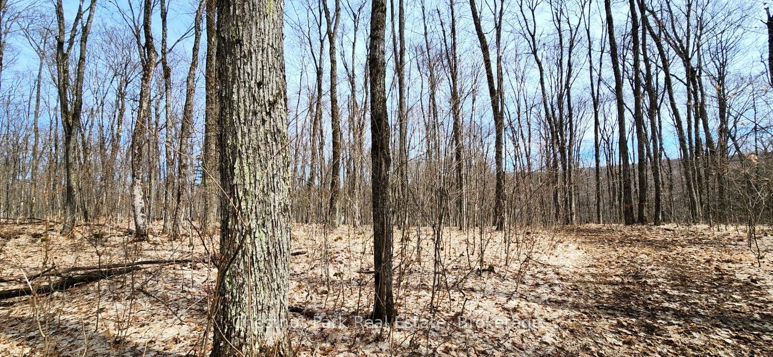 0 Skyline Drive Property Photo 13