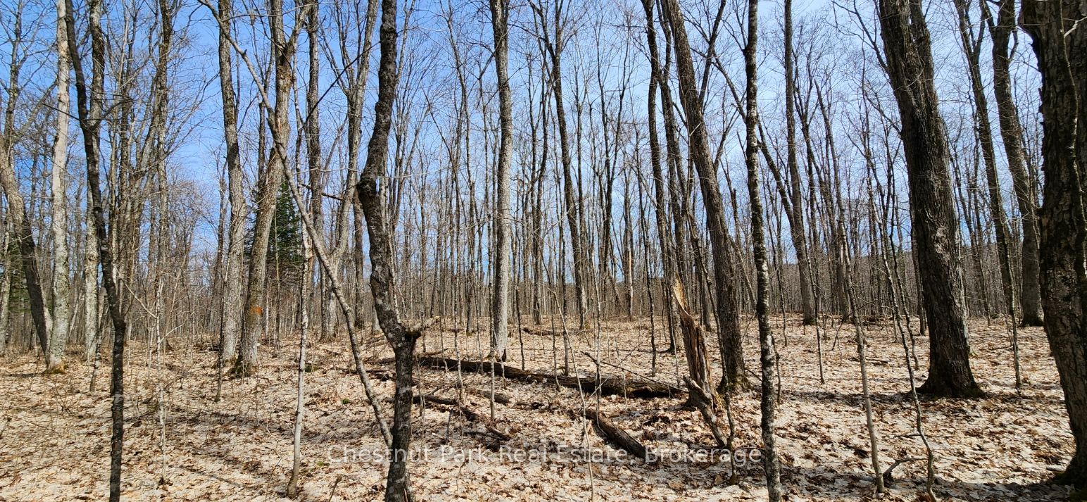 0 Skyline Drive Property Photo 14