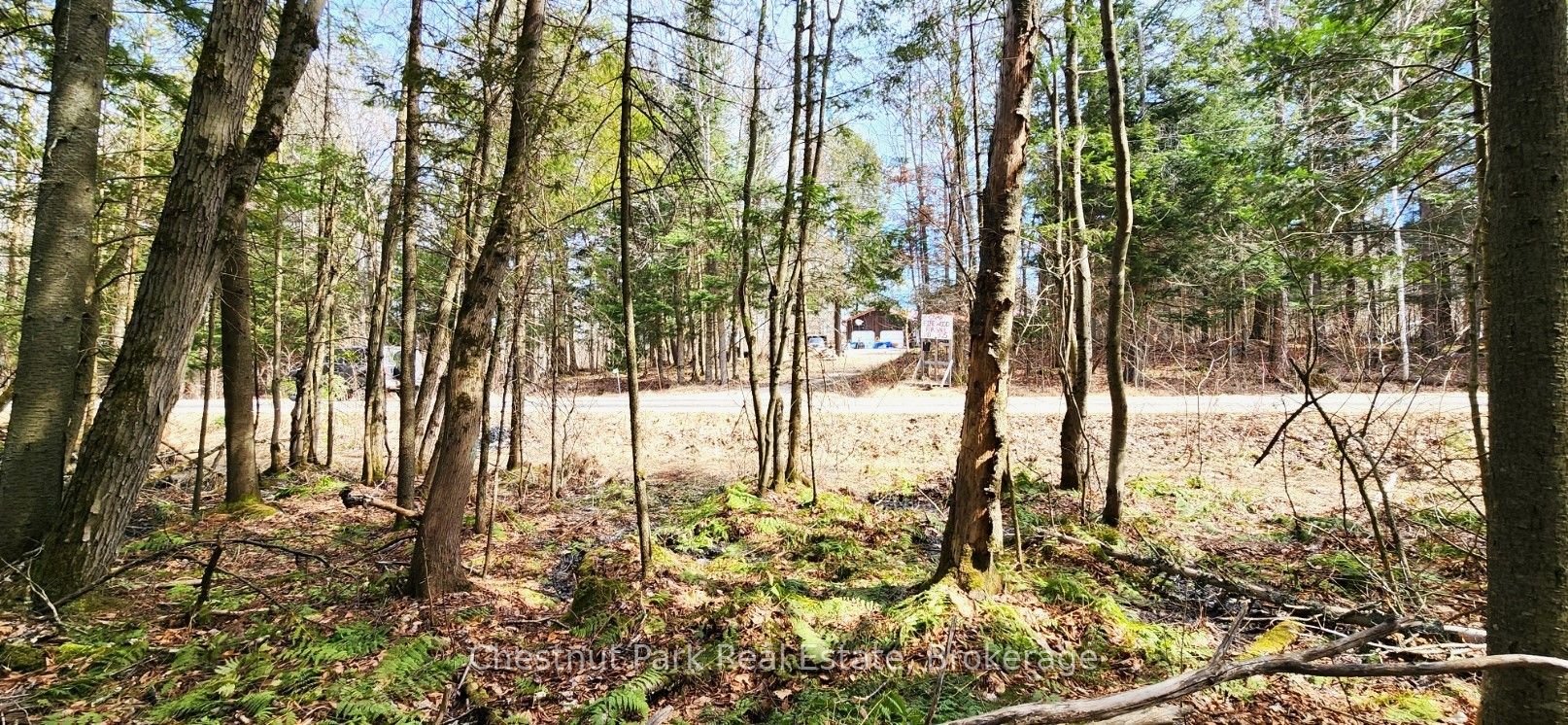 0 Skyline Drive Property Photo 15