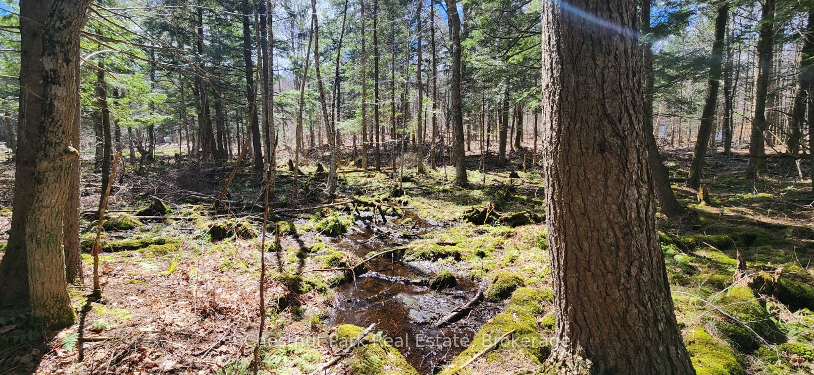 0 Skyline Drive Property Photo 16