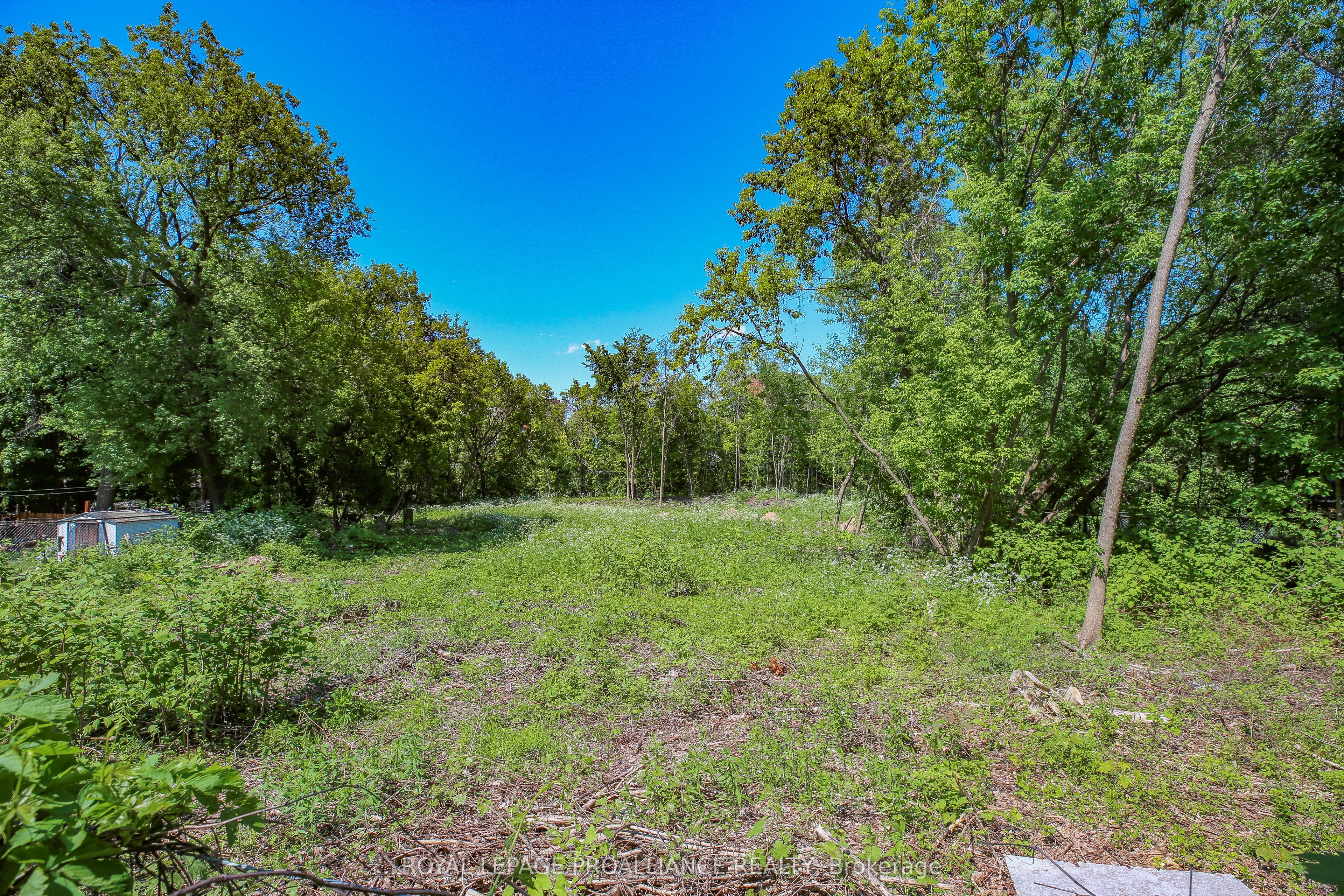 0 Edward Street Property Photo 3