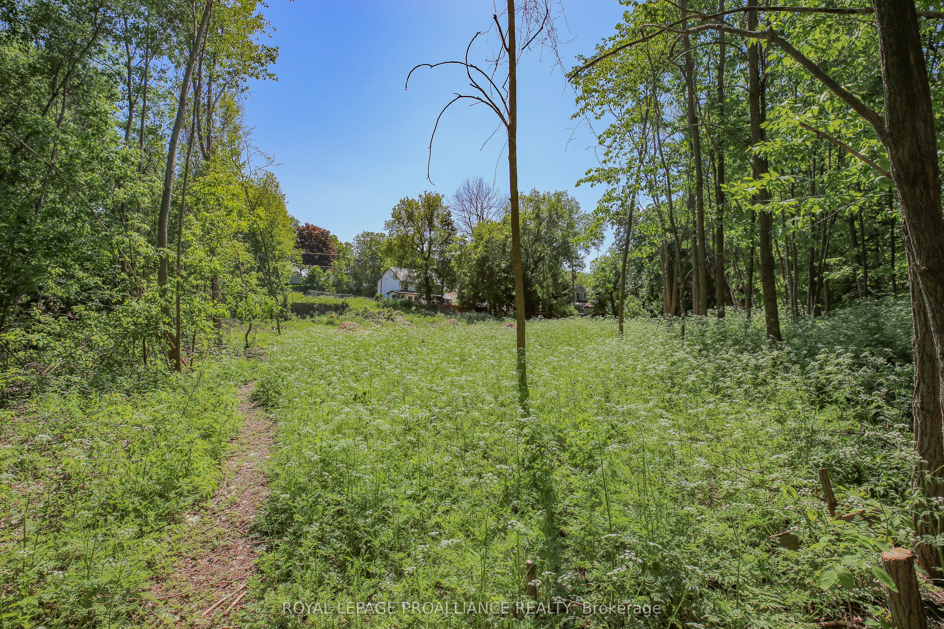 0 Edward Street Property Photo 6