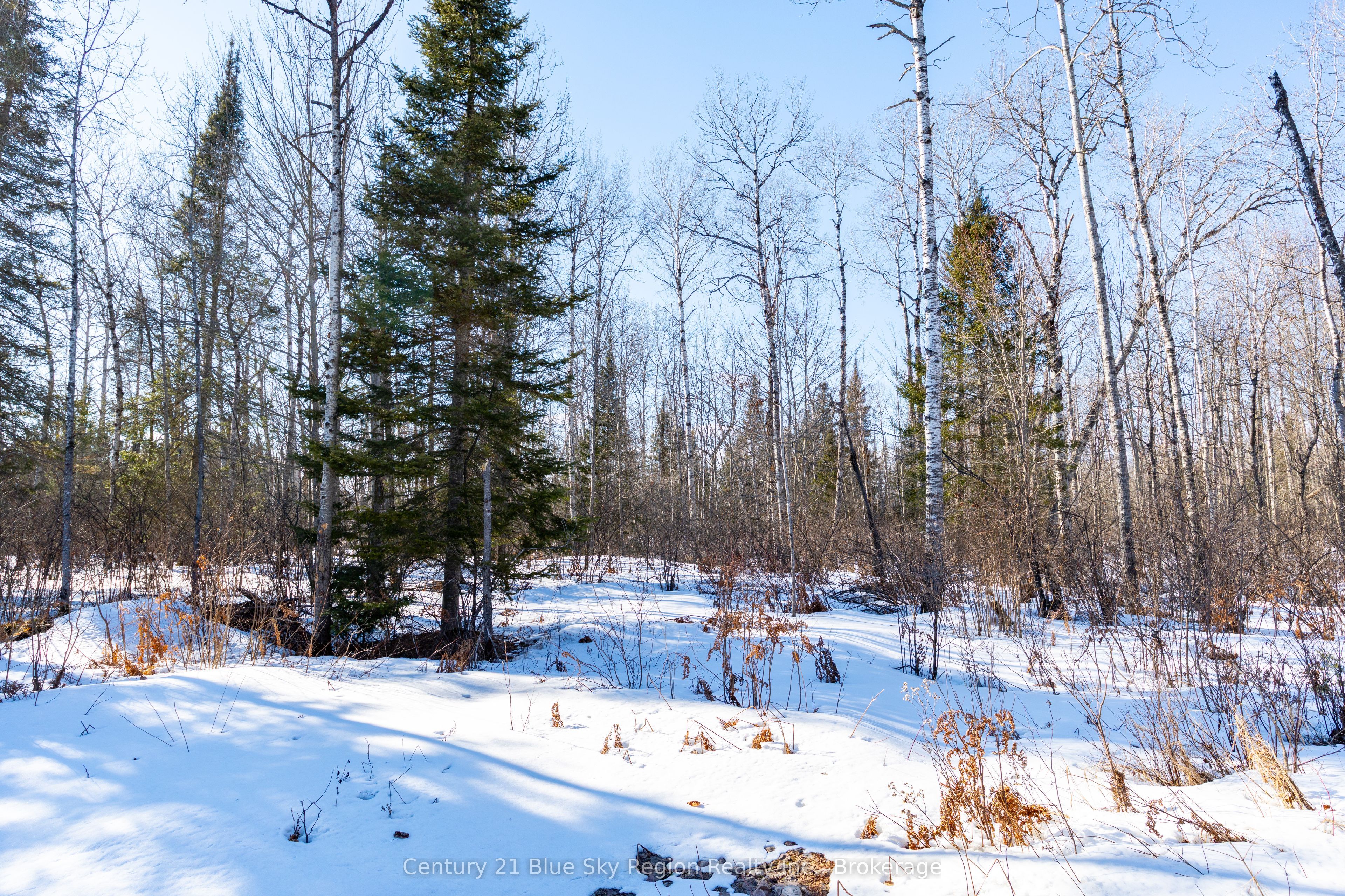37 Macpherson Drive Property Photo 3