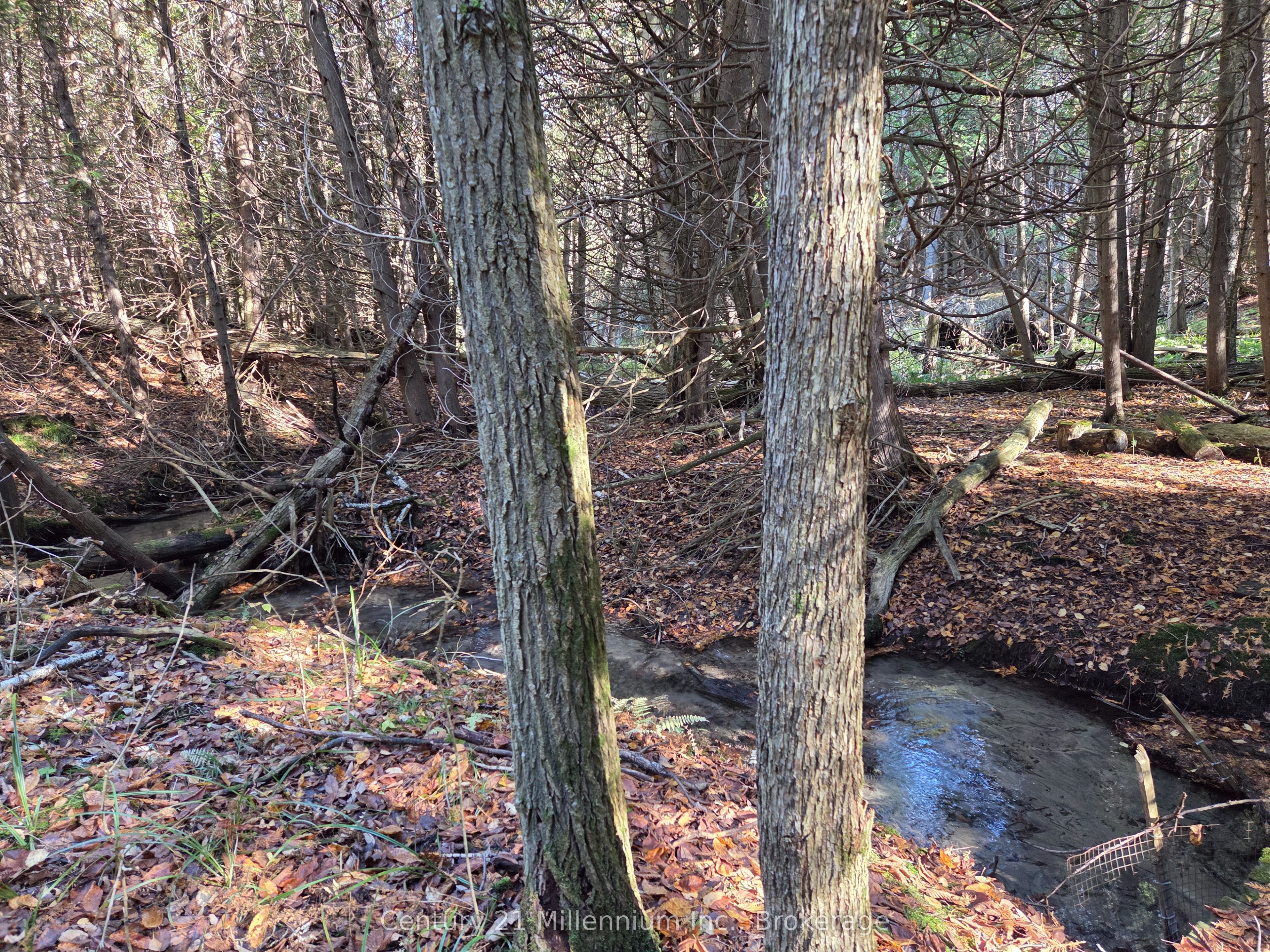 627383 15 Side Road Property Photo 3