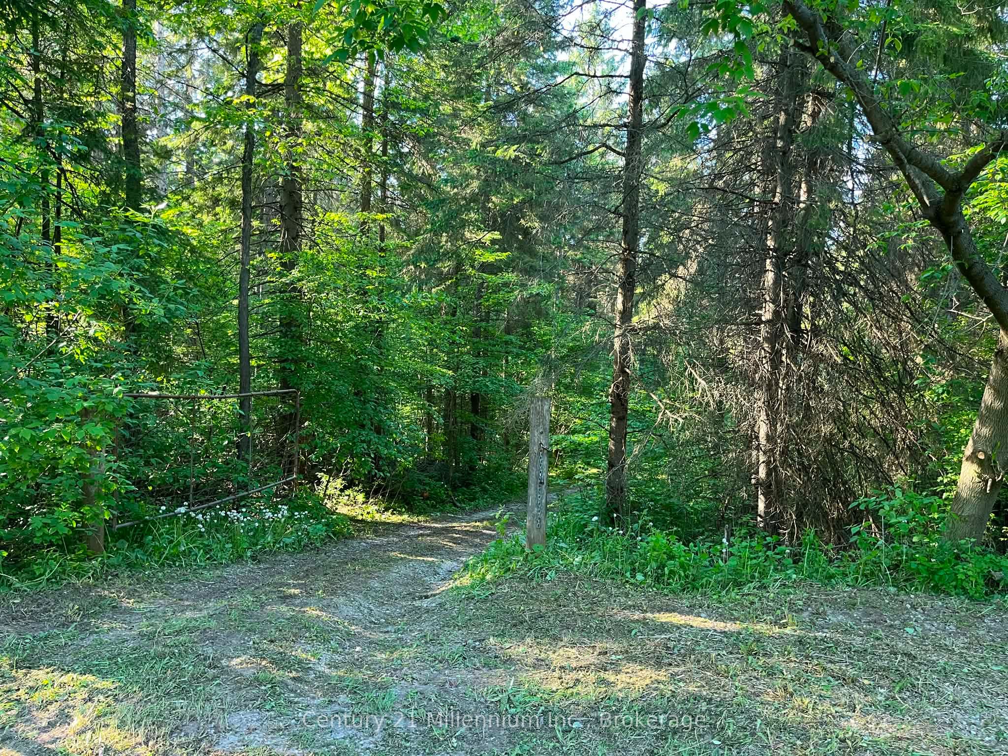 627383 15 Side Road Property Photo 6