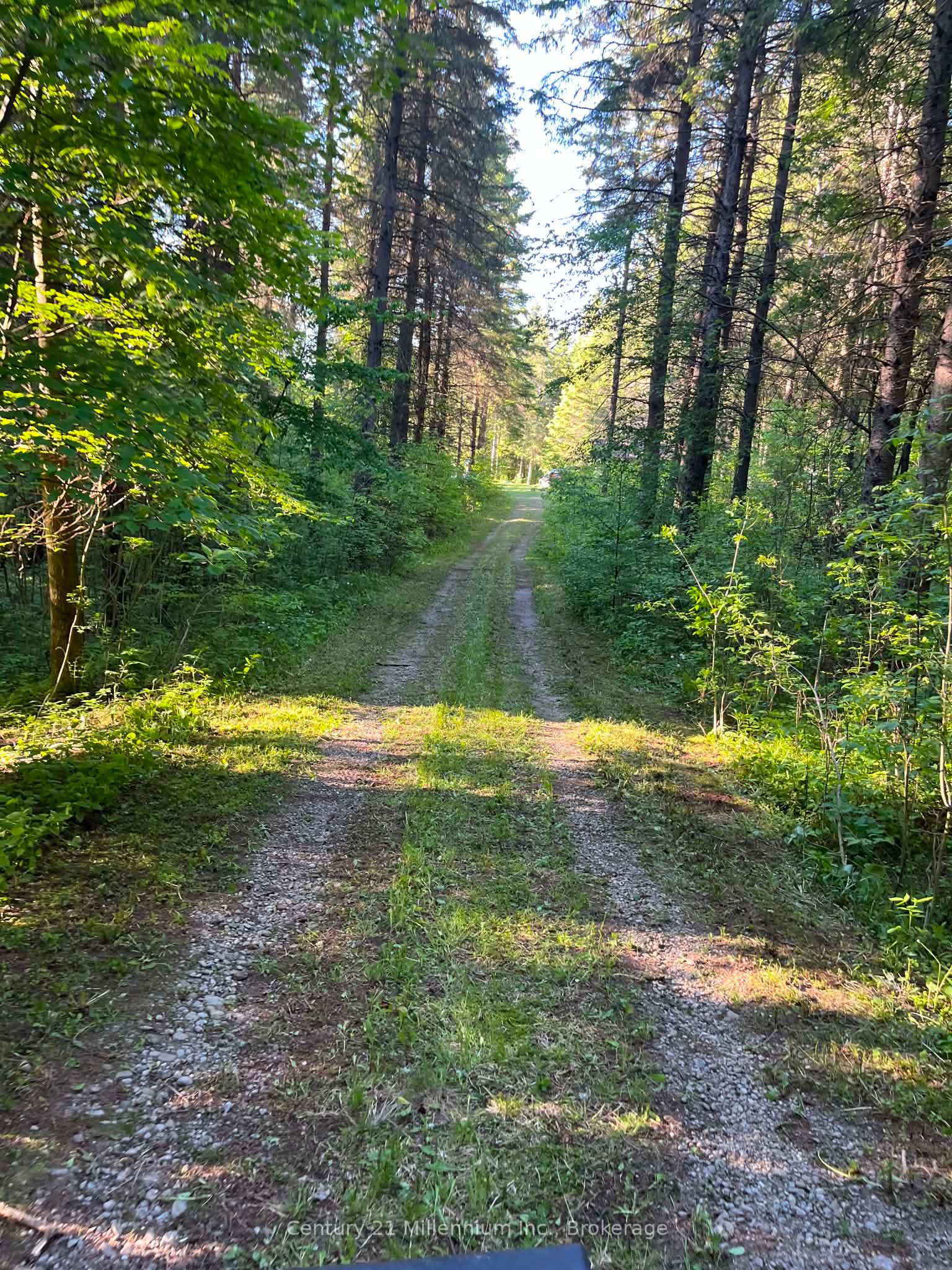 627383 15 Side Road Property Photo 7