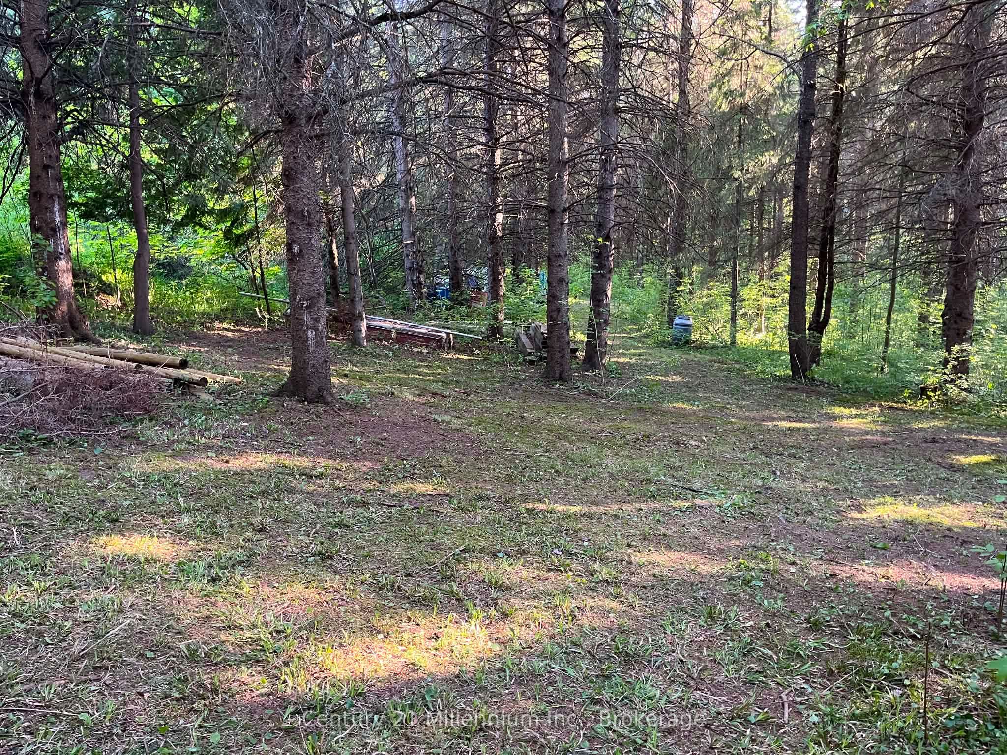 627383 15 Side Road Property Photo 10