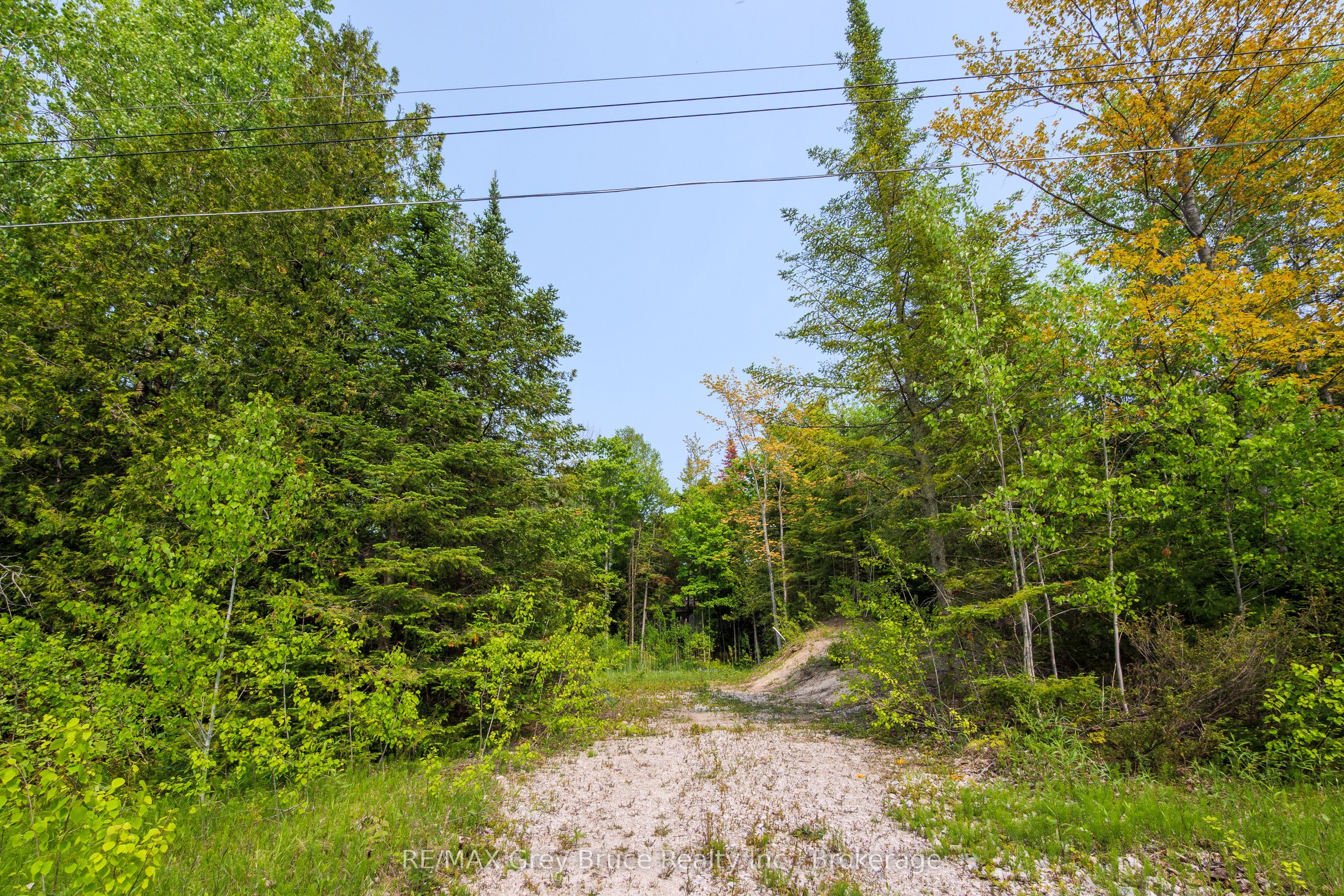 425 Dufferin Avenue Property Photo 13