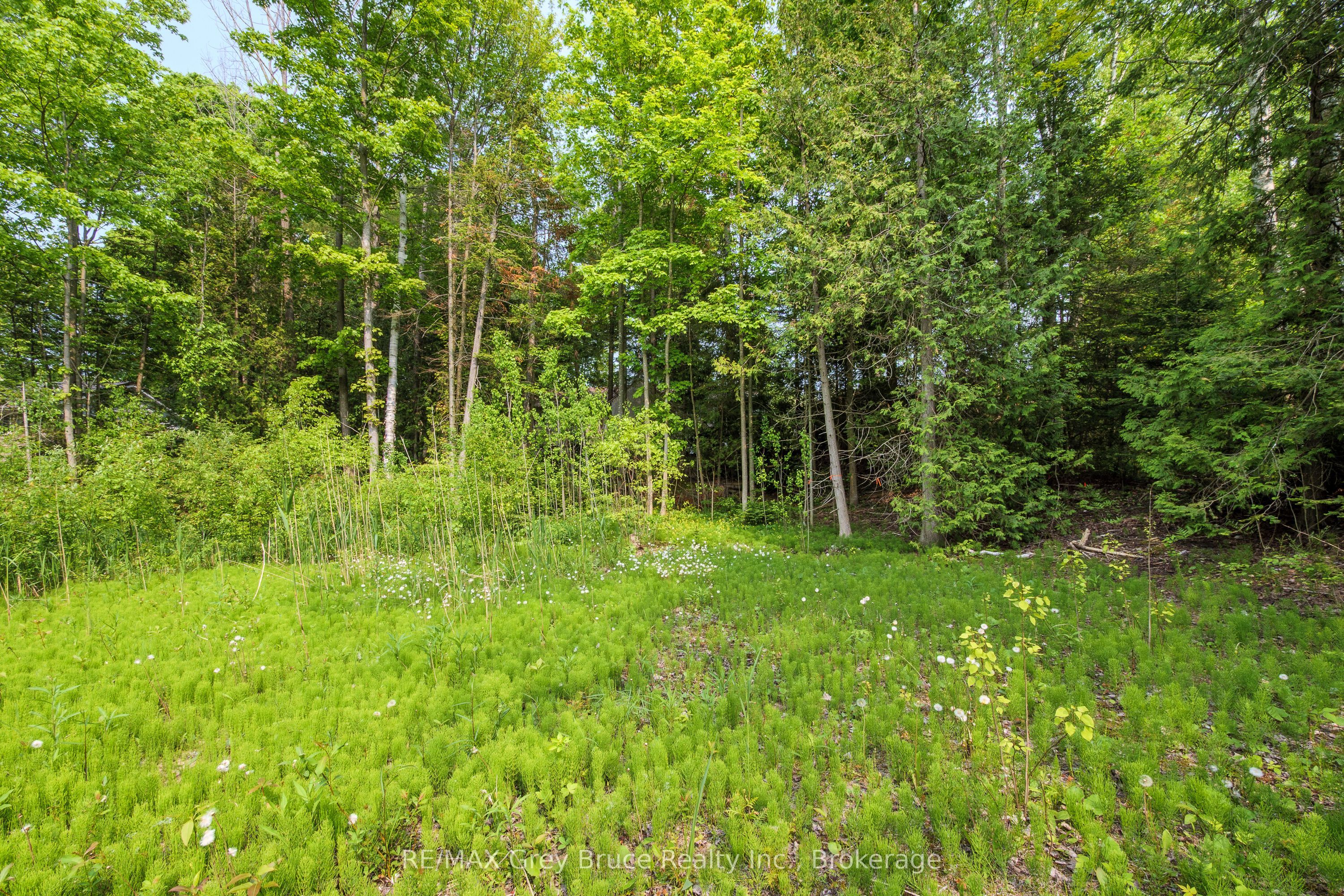425 Dufferin Avenue Property Photo 17