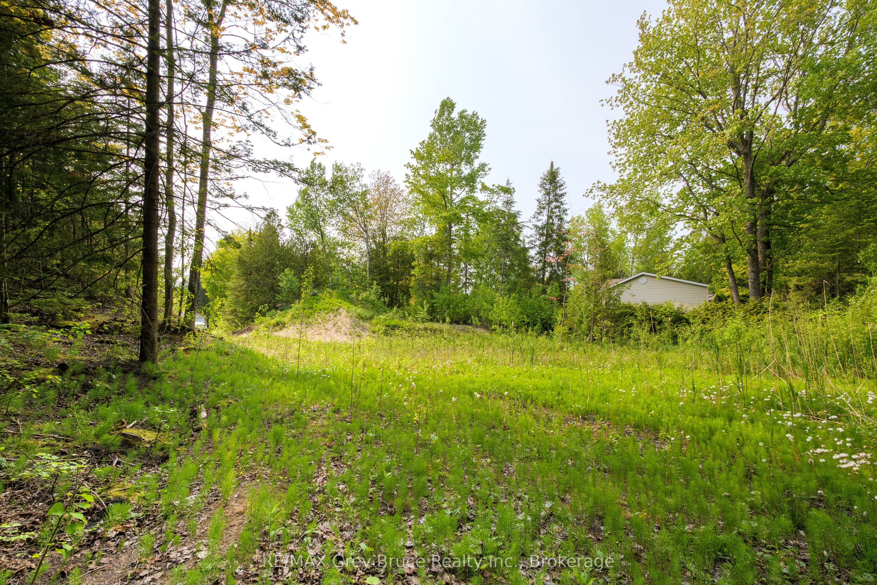425 Dufferin Avenue Property Photo 18