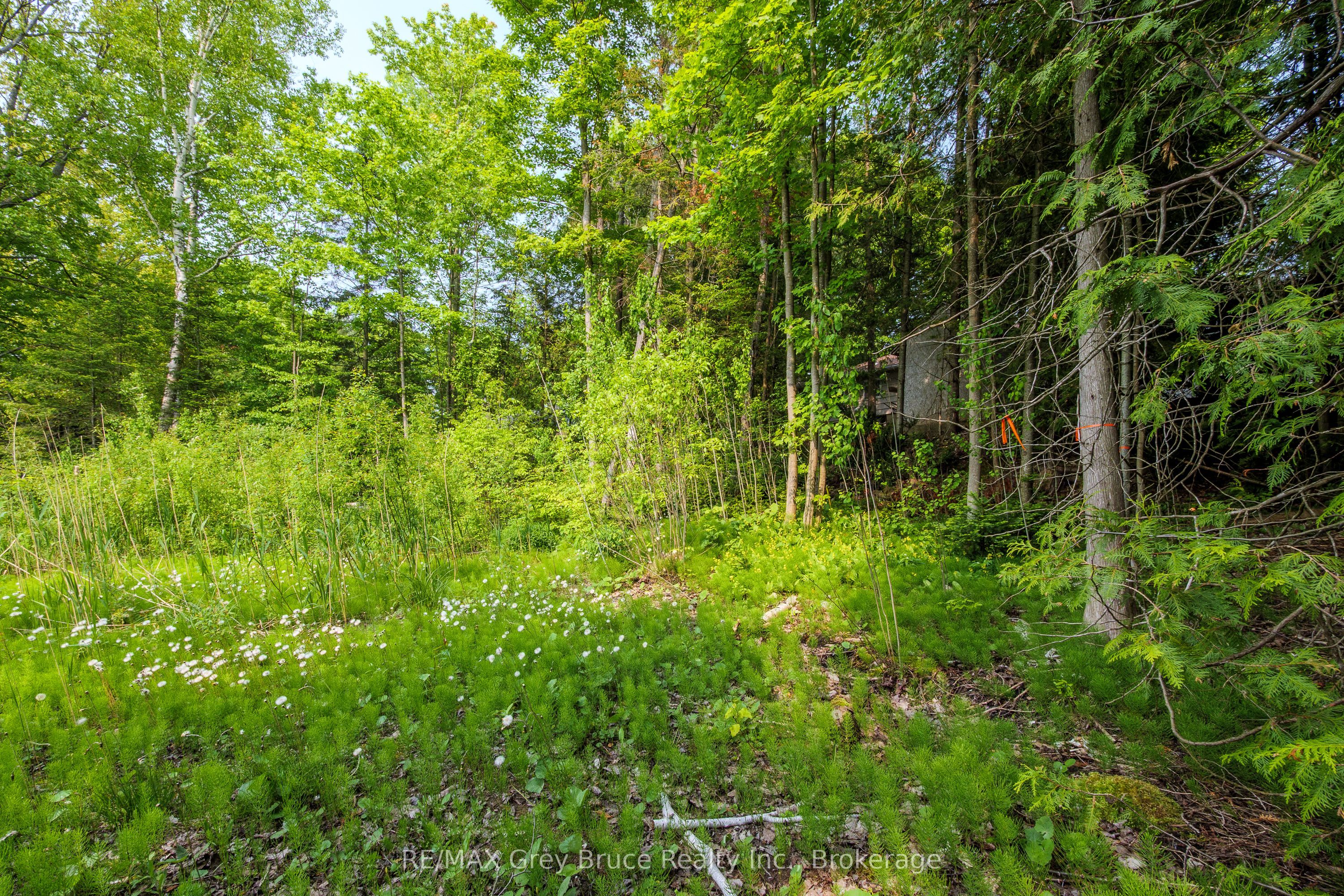 425 Dufferin Avenue Property Photo 19