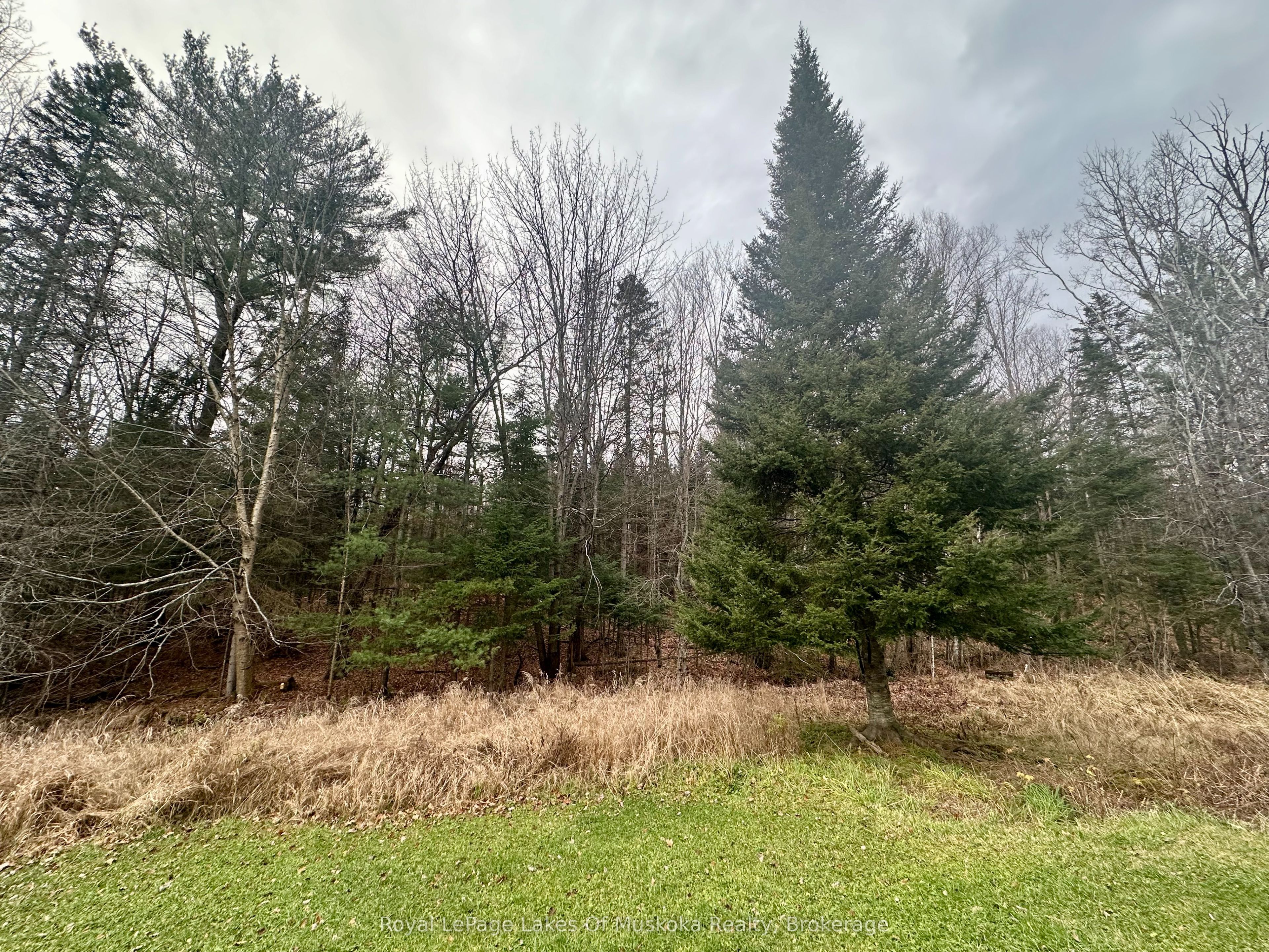 112 510 Highway Property Photo 21