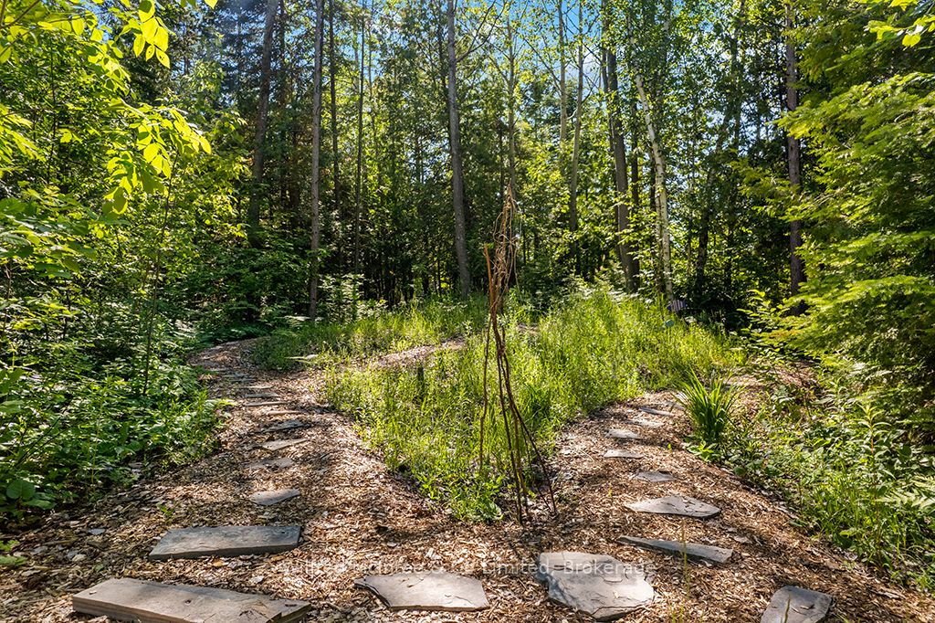 55 Thompson Avenue Property Photo 31