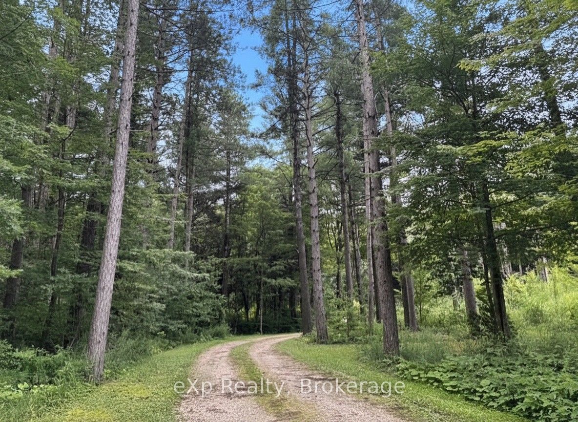 303709 South Line Property Photo 6