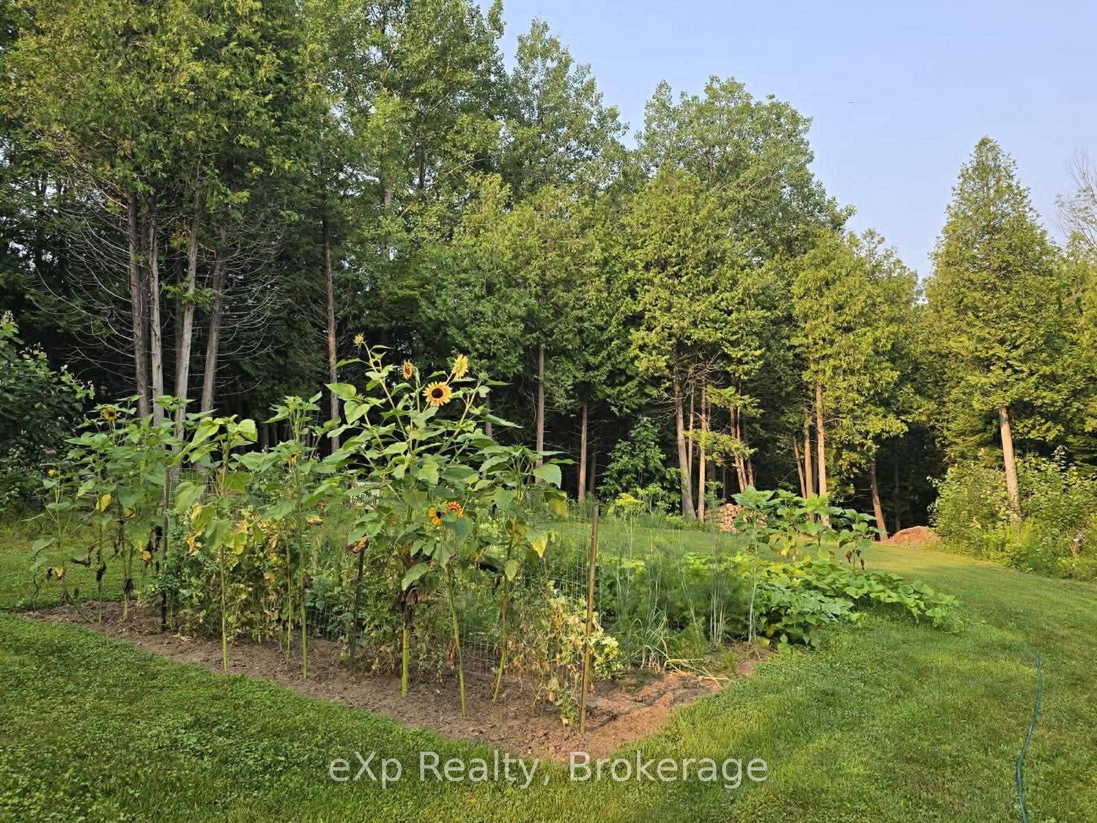 303709 South Line Property Photo 9