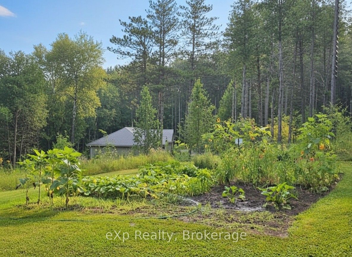 303709 South Line Property Photo 10