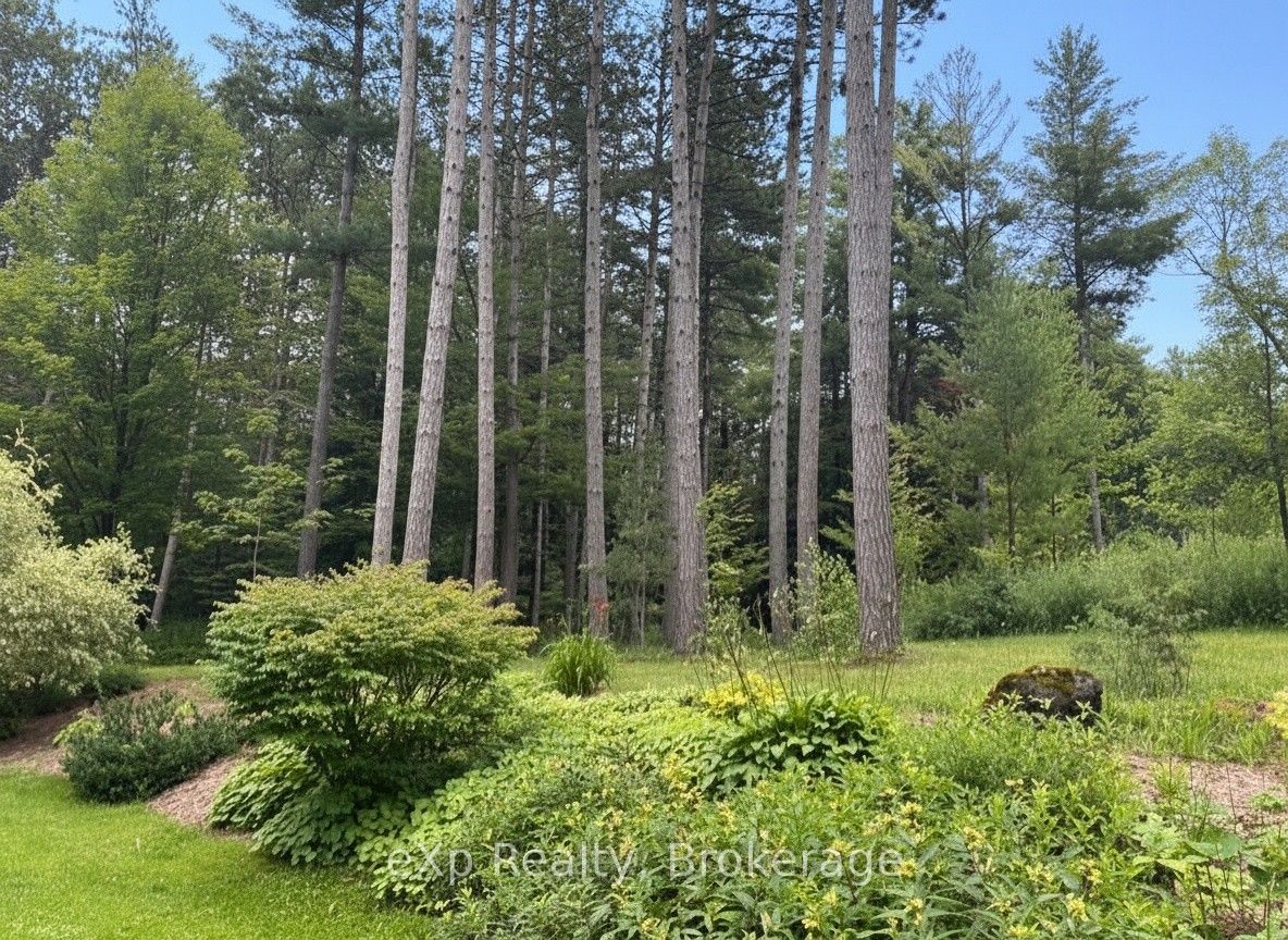 303709 South Line Property Photo 11