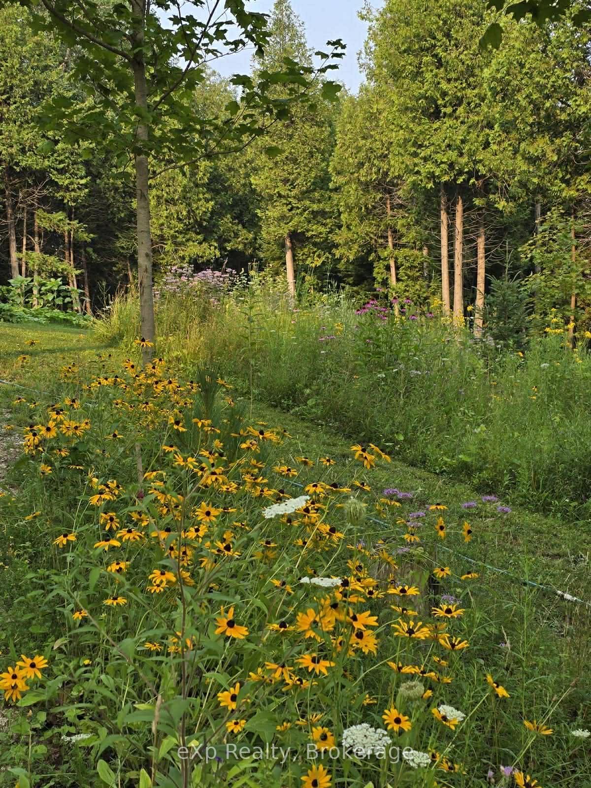 303709 South Line Property Photo 12