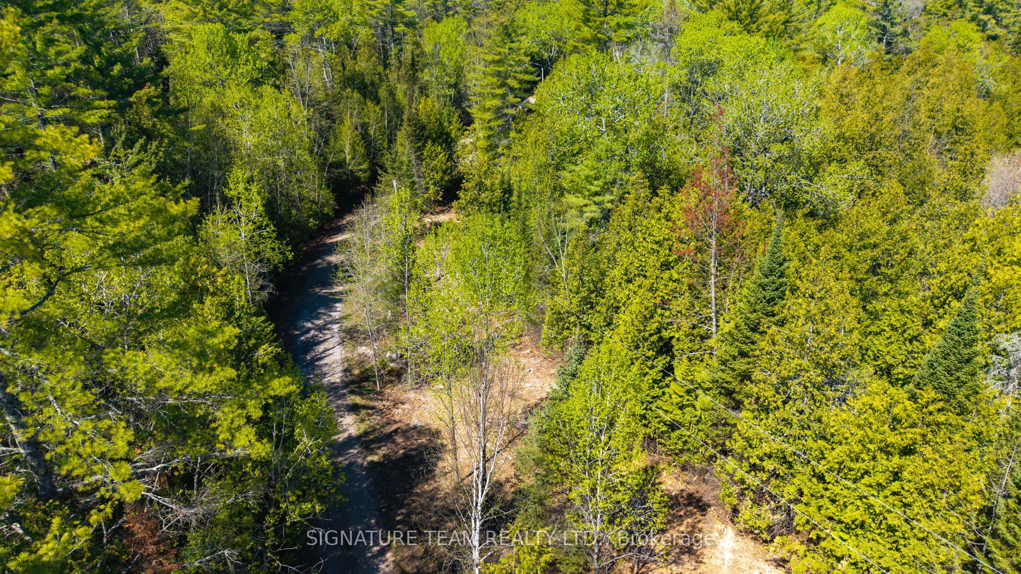 0 Red Ash Trail Property Photo 4