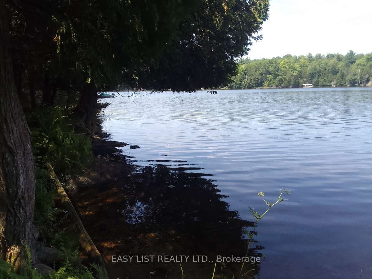 75 - 372 Murphy Road Property Photo 8