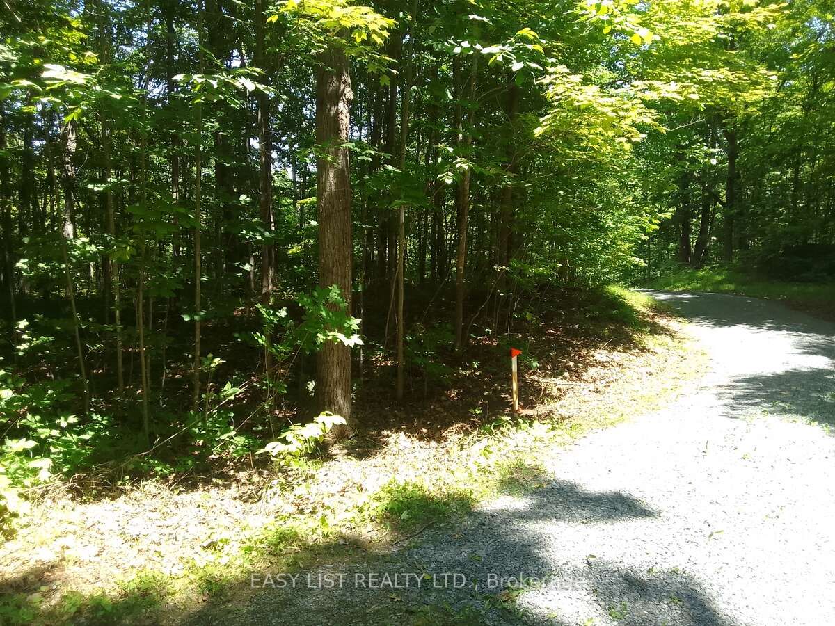 75 - 372 Murphy Road Property Photo 13