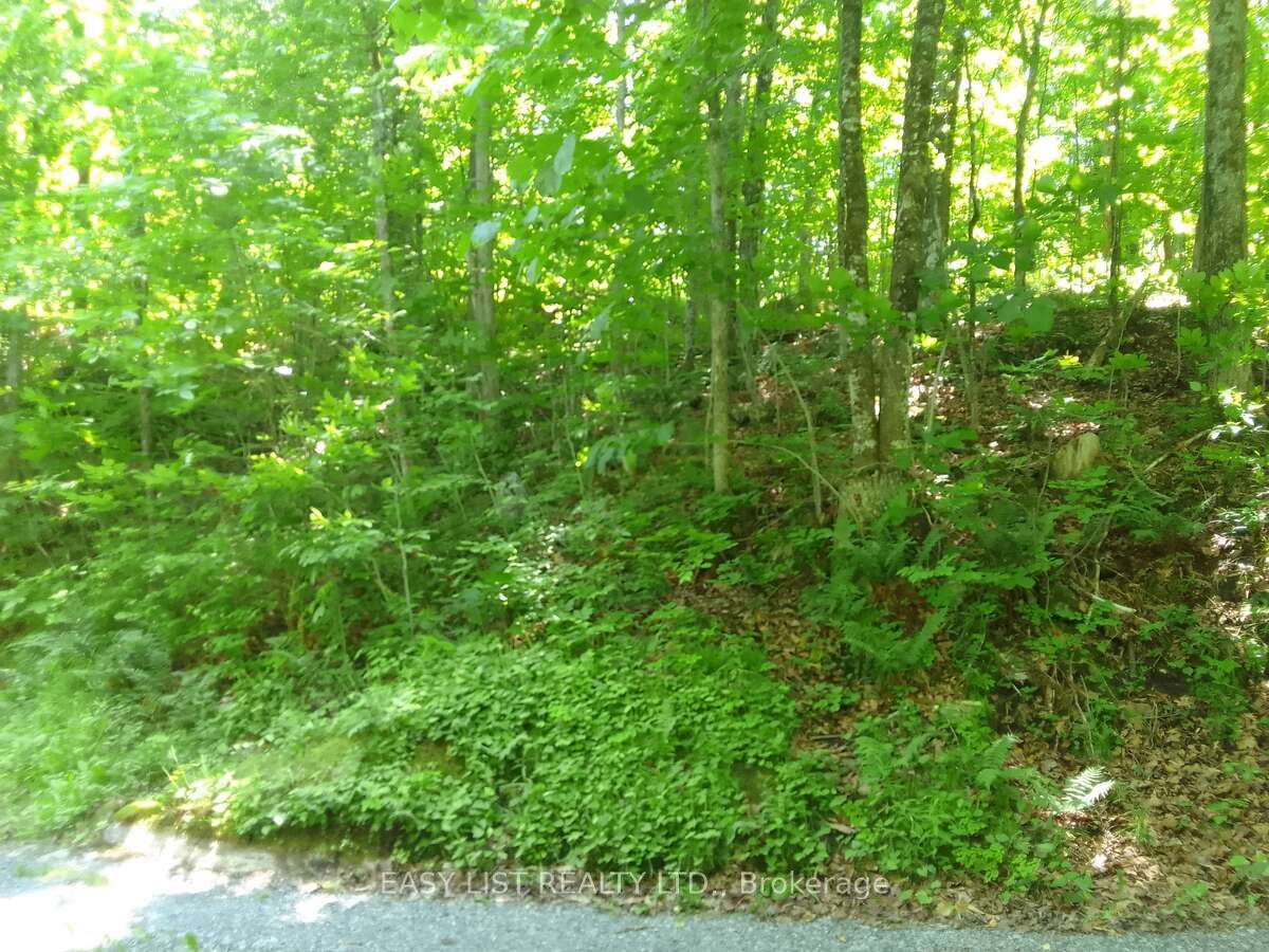 75 - 372 Murphy Road Property Photo 15