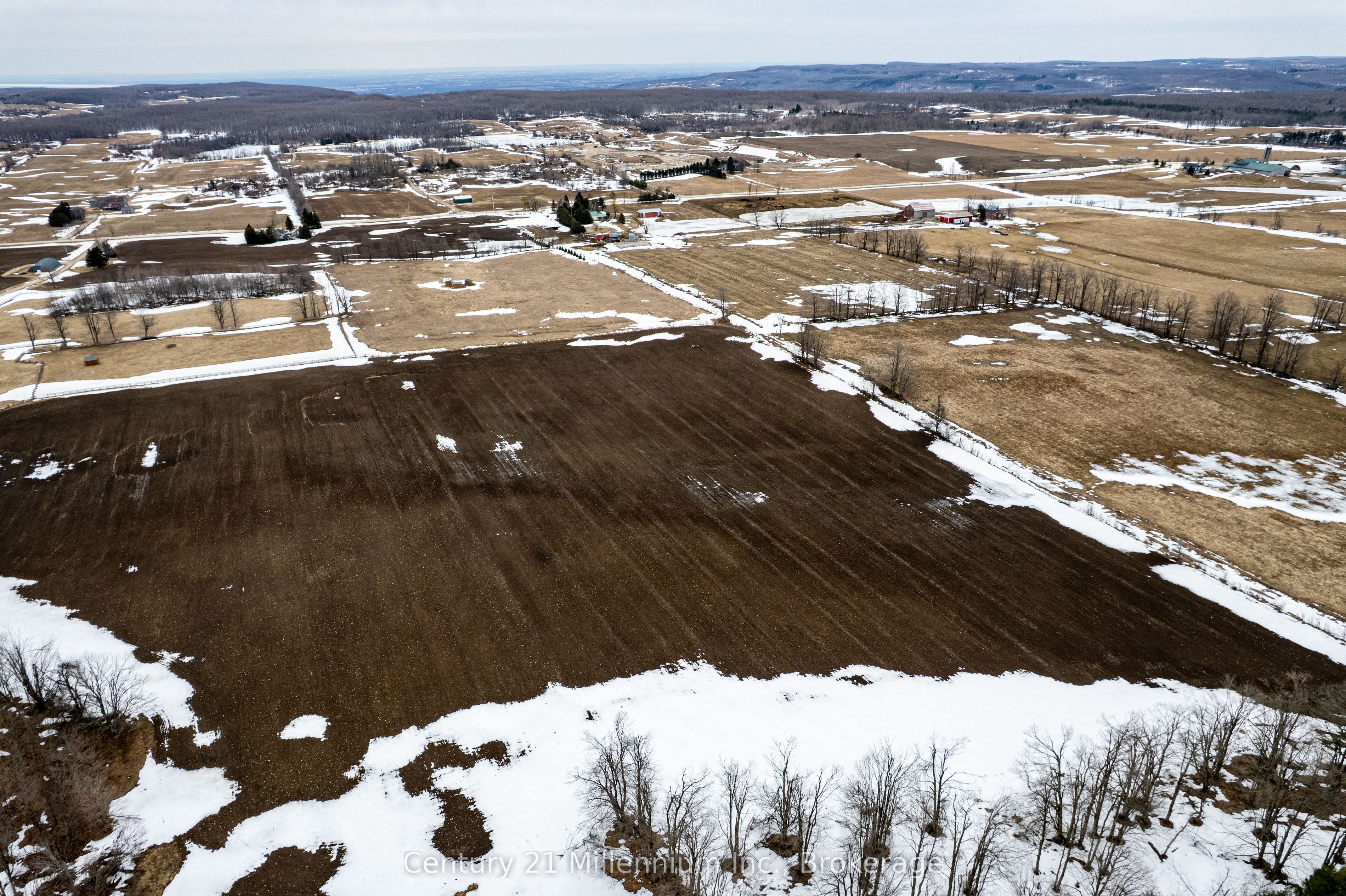 595298 4th Line Property Photo 3