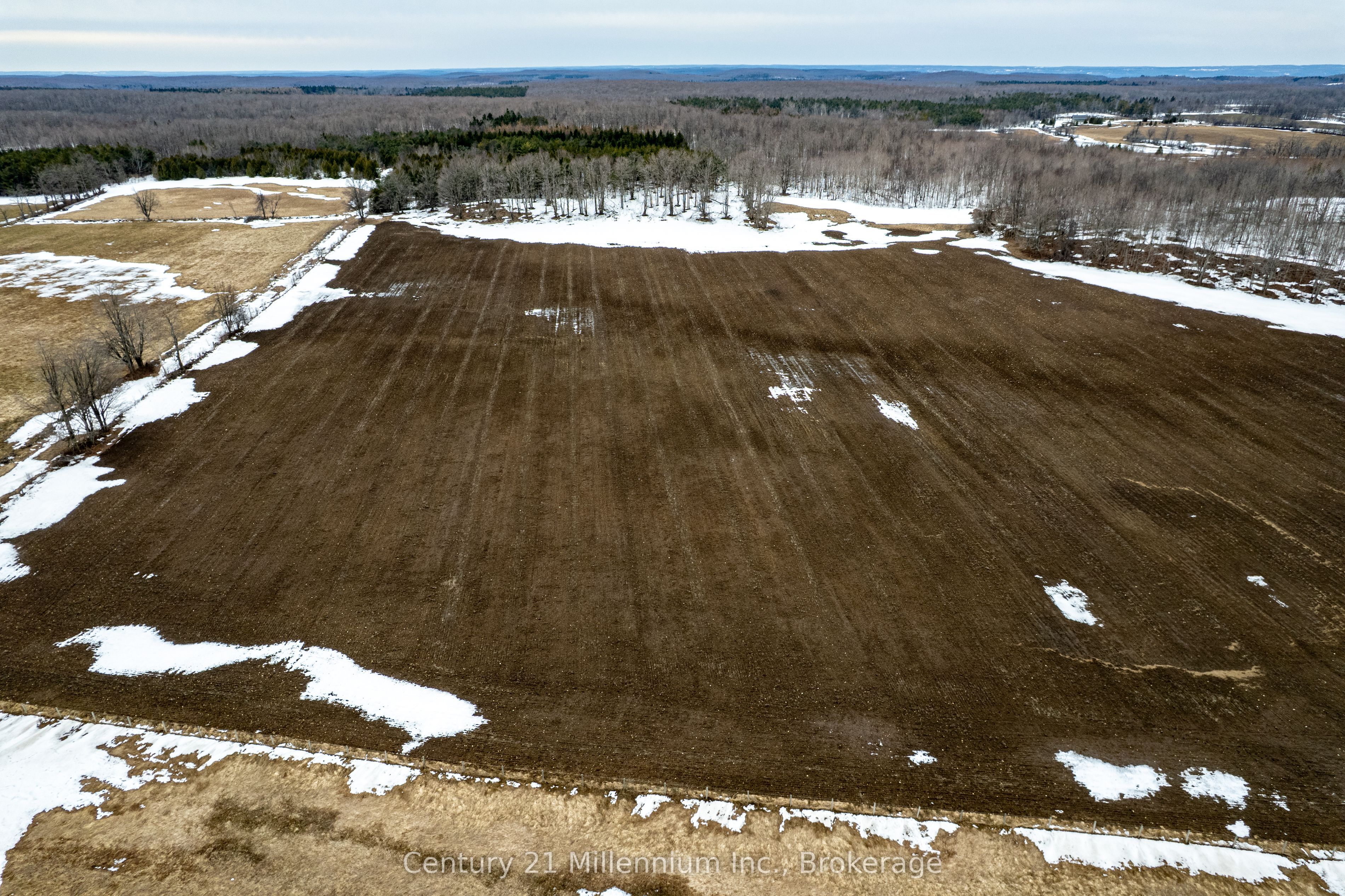 595298 4th Line Property Photo 5