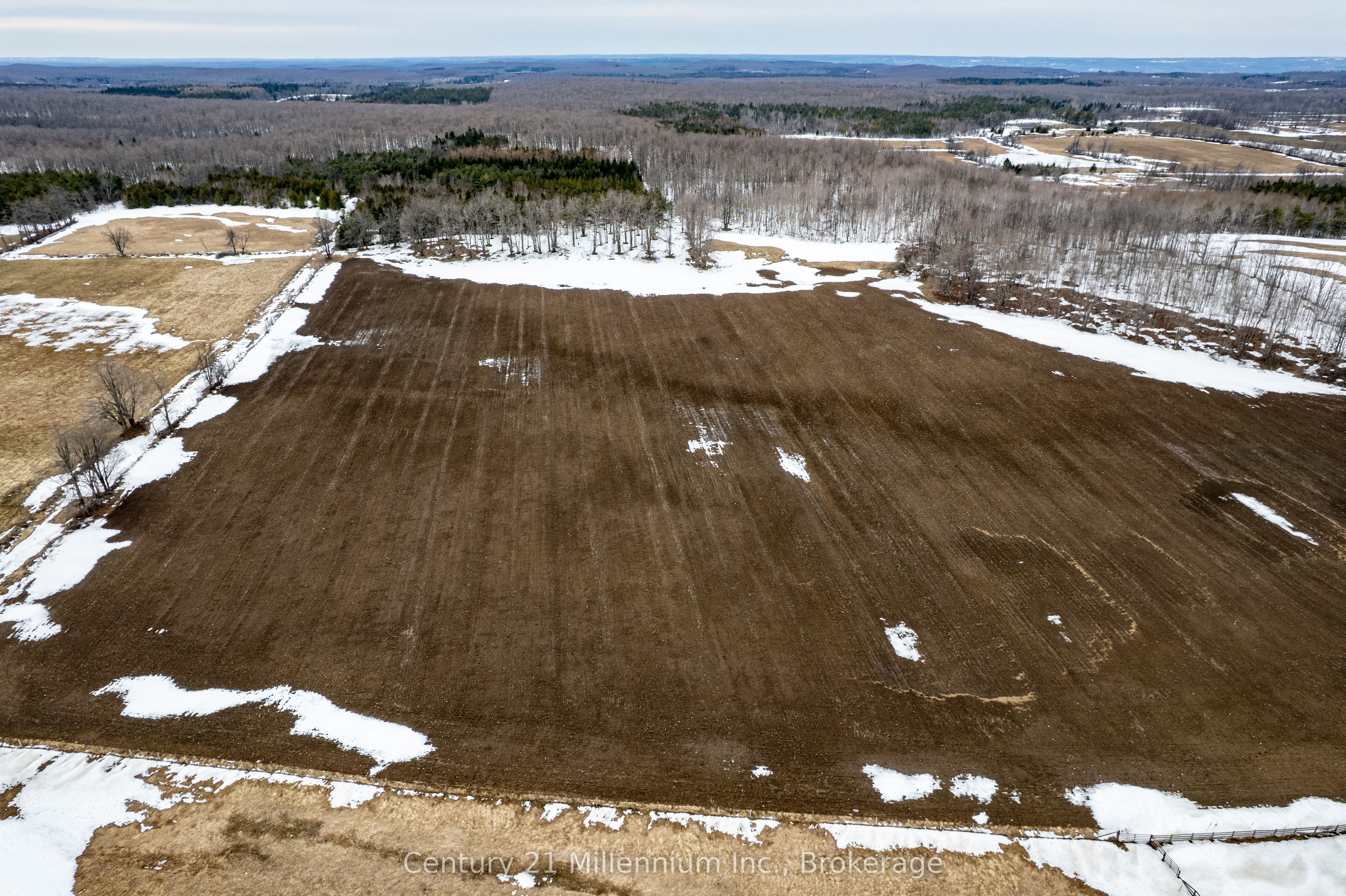 595298 4th Line Property Photo 8