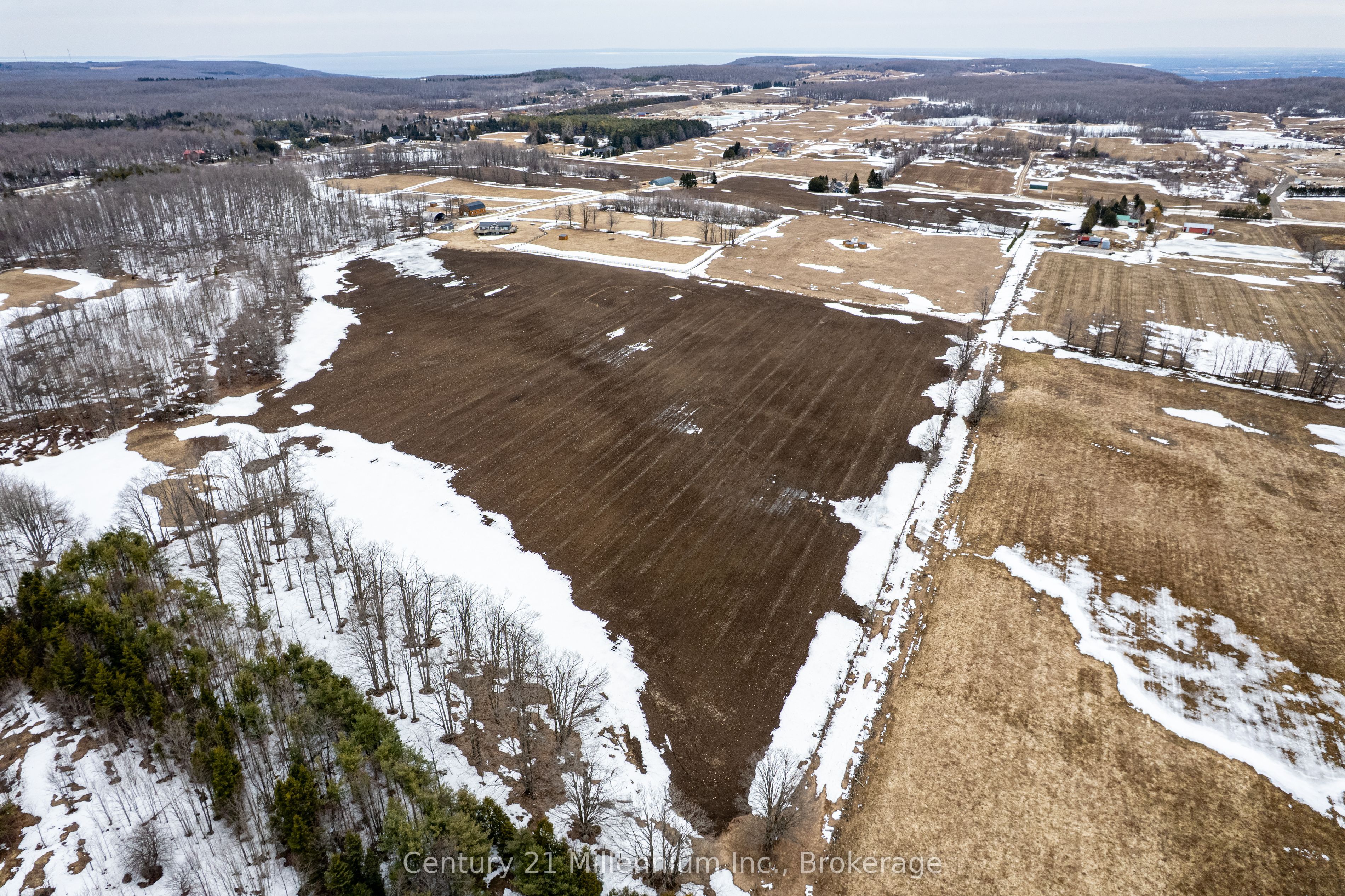 595298 4th Line Property Photo 9