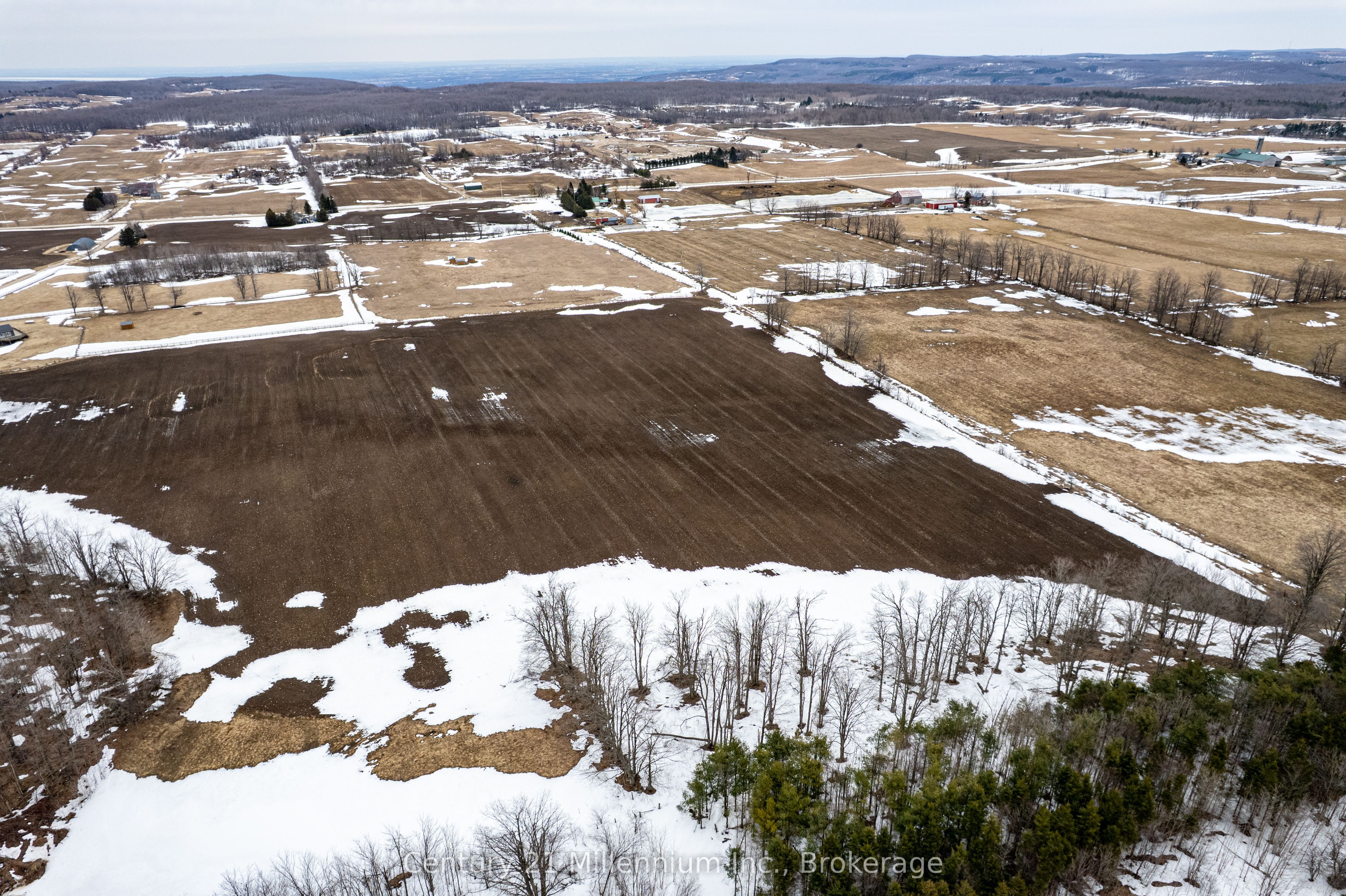 595298 4th Line Property Photo 10