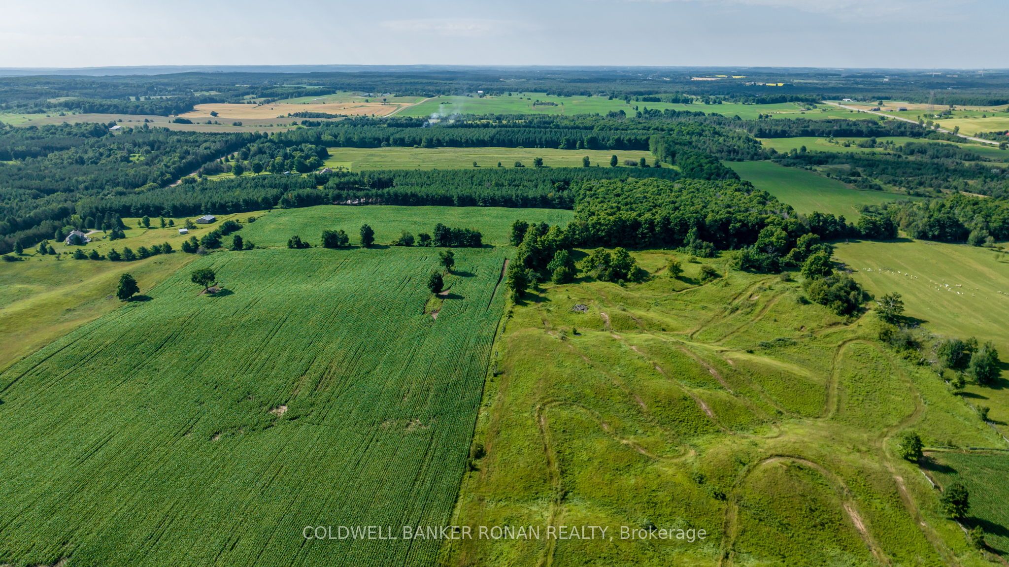 486356 30 Side Road Property Photo 19