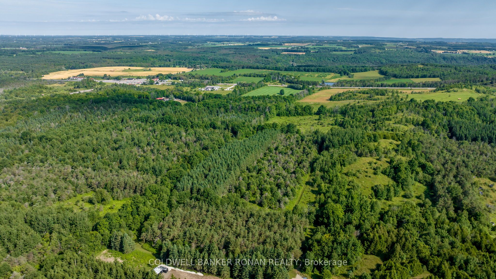 486356 30 Side Road Property Photo 23
