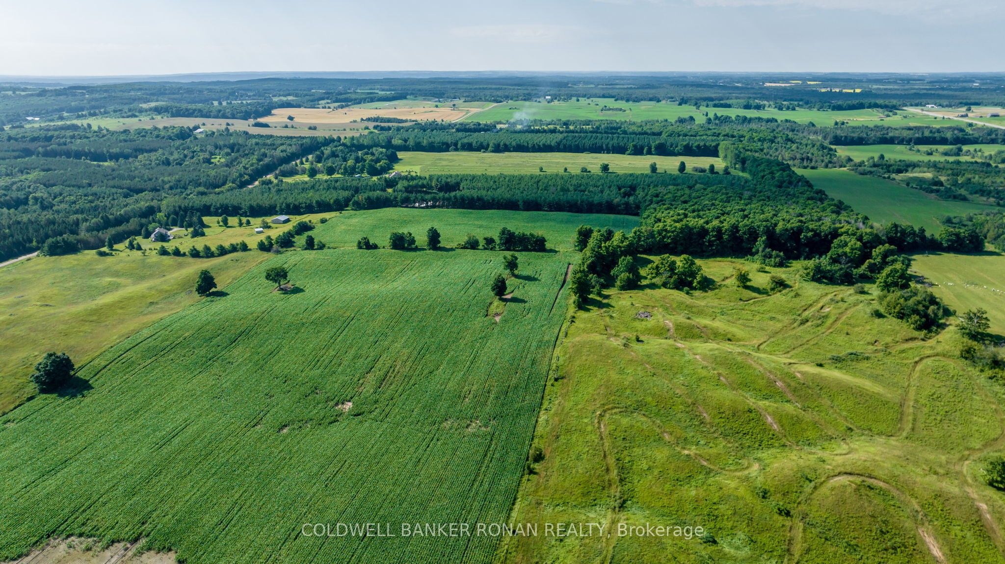 486356 30 Side Road Property Photo 27