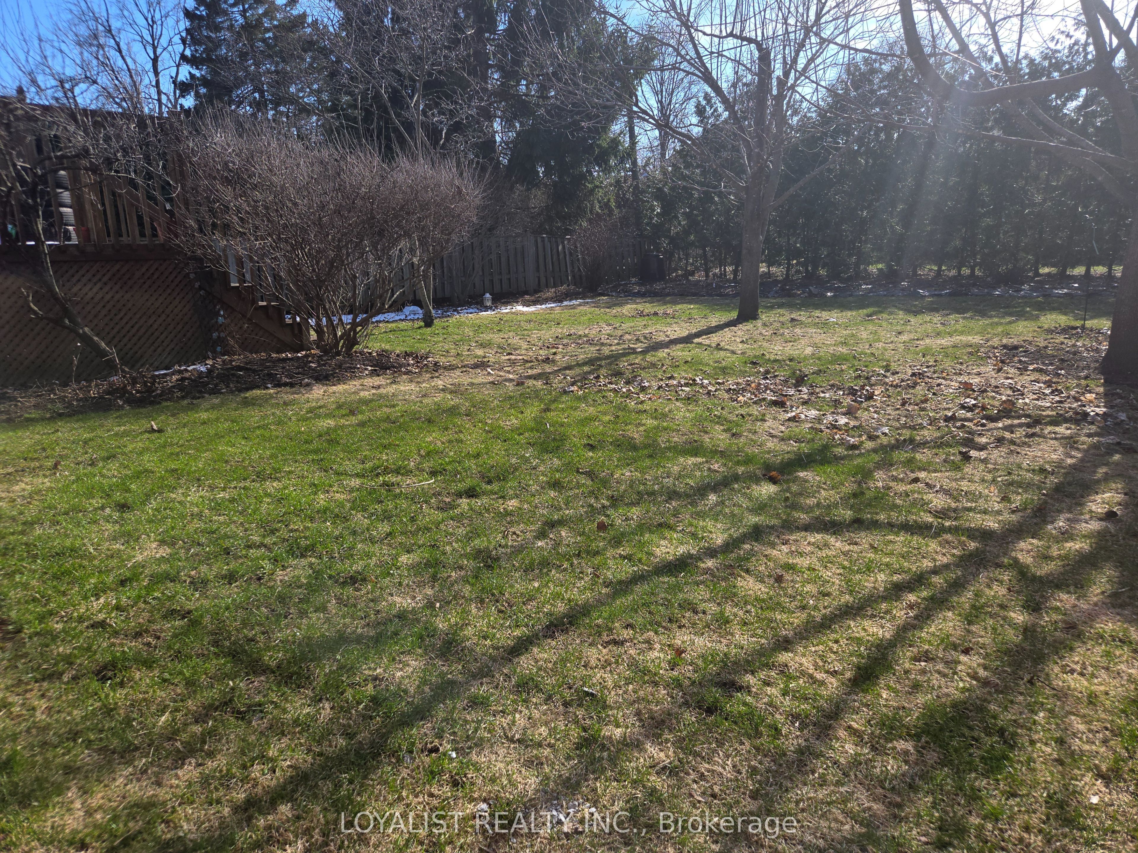 220 Parrott Drive Property Photo 16