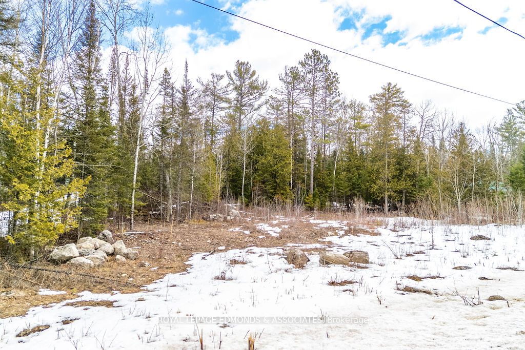 00 Rapid Road Property Photo 7