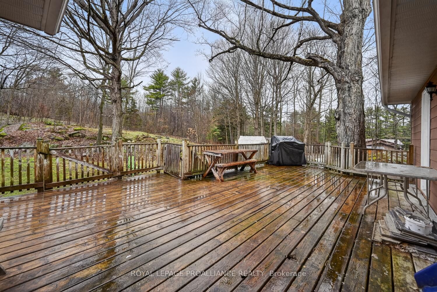 376 County Road 5 Road Property Photo 10