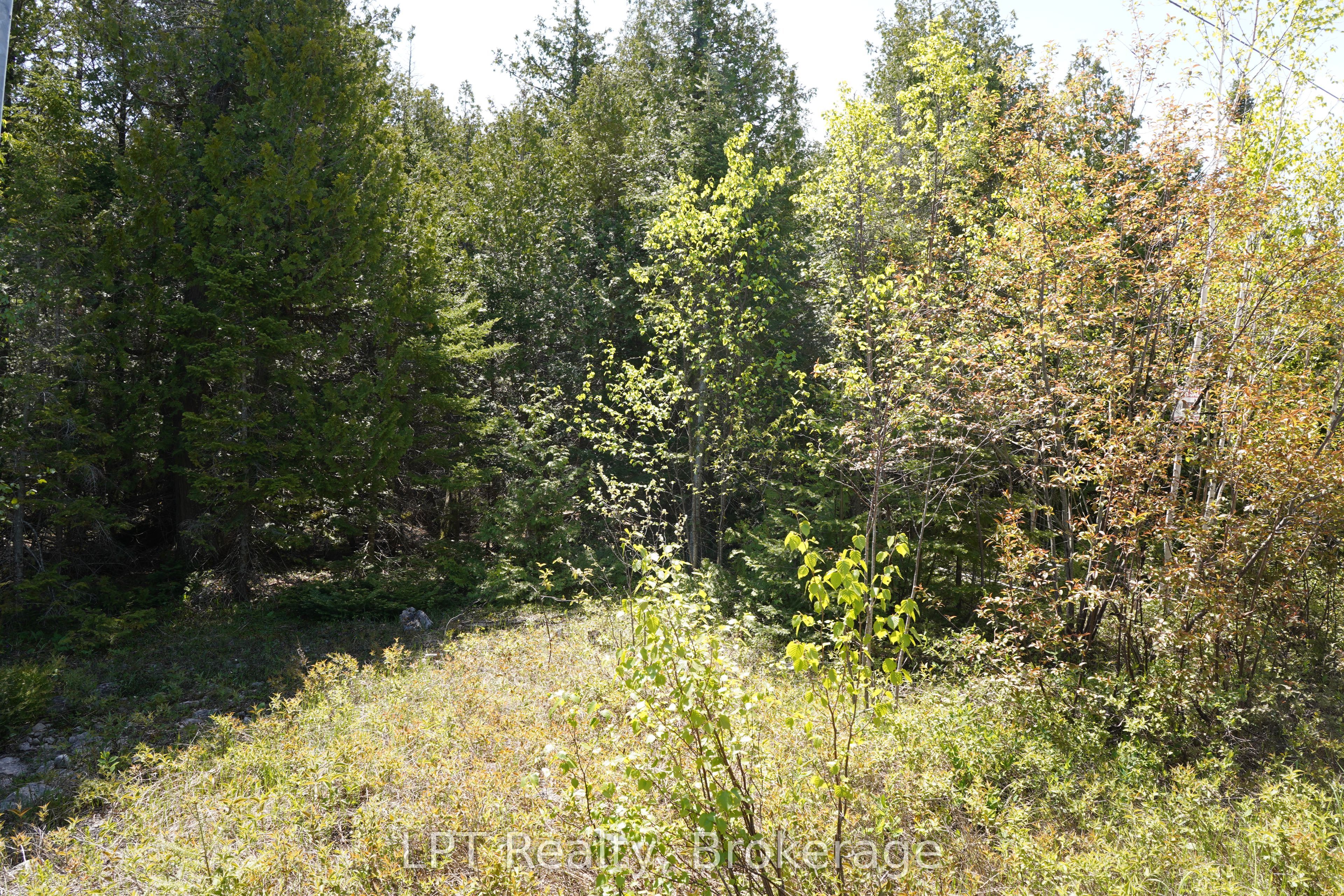76 Myles Drive Property Photo 9