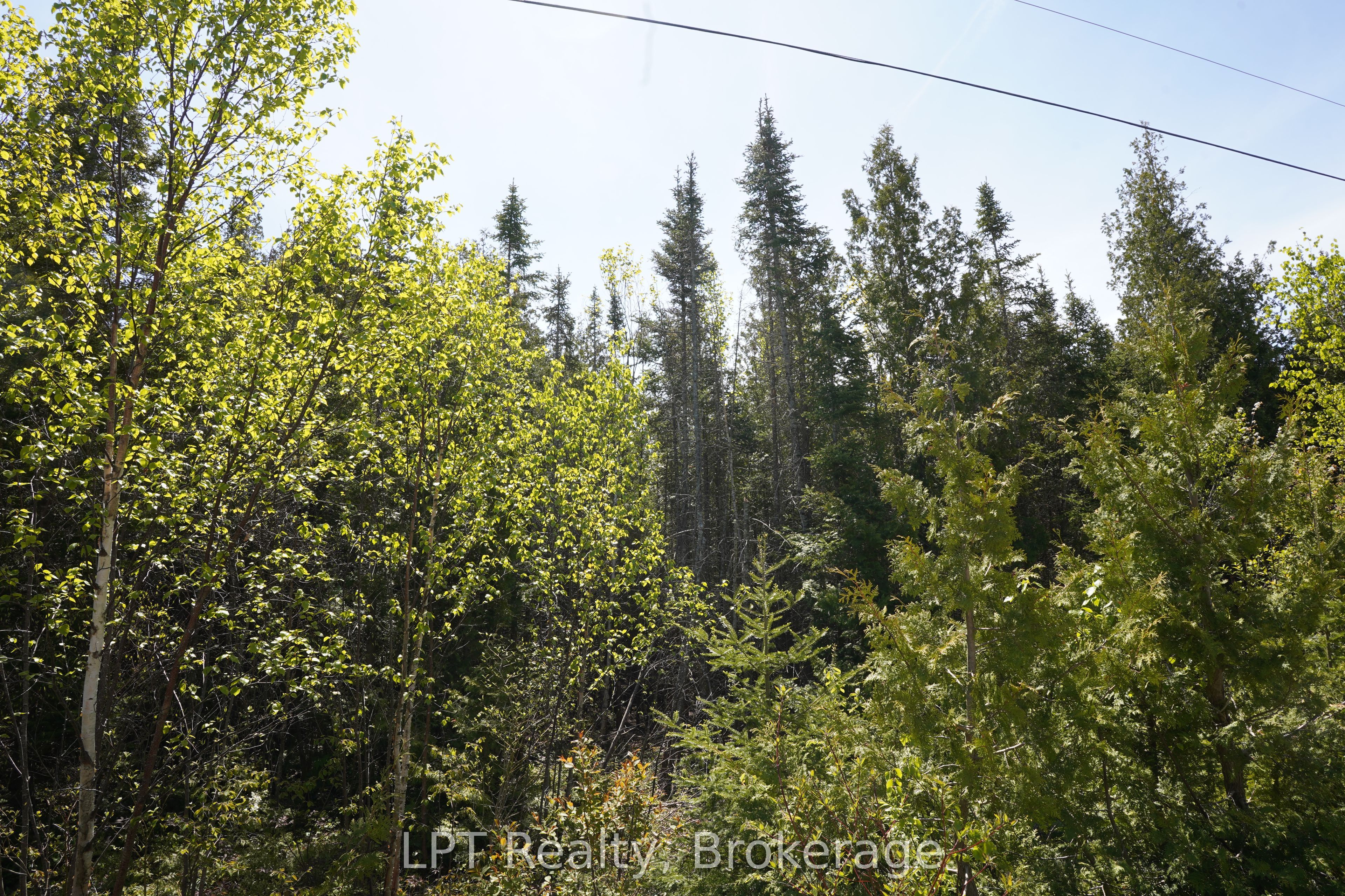 76 Myles Drive Property Photo 10