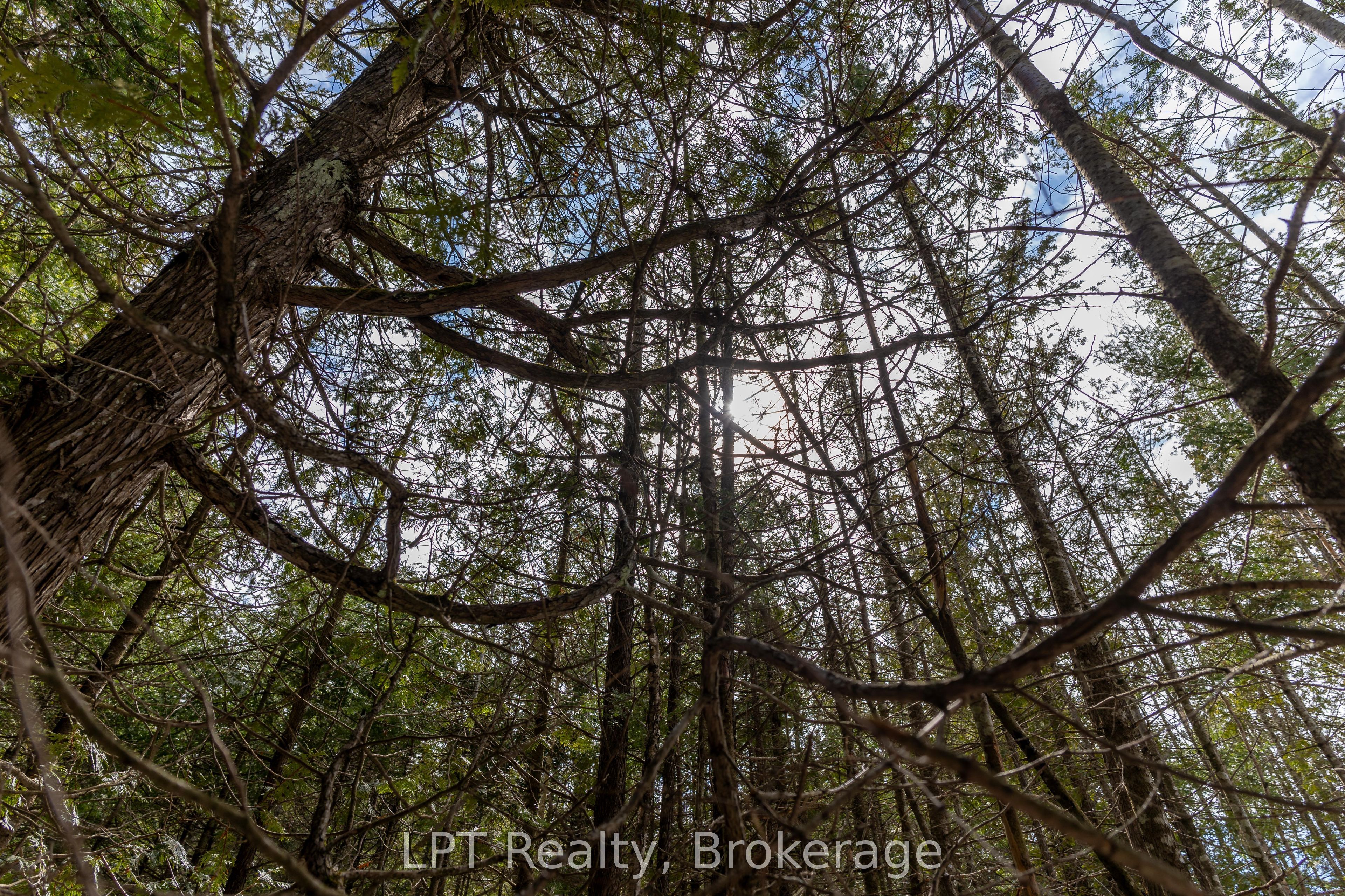76 Myles Drive Property Photo 11