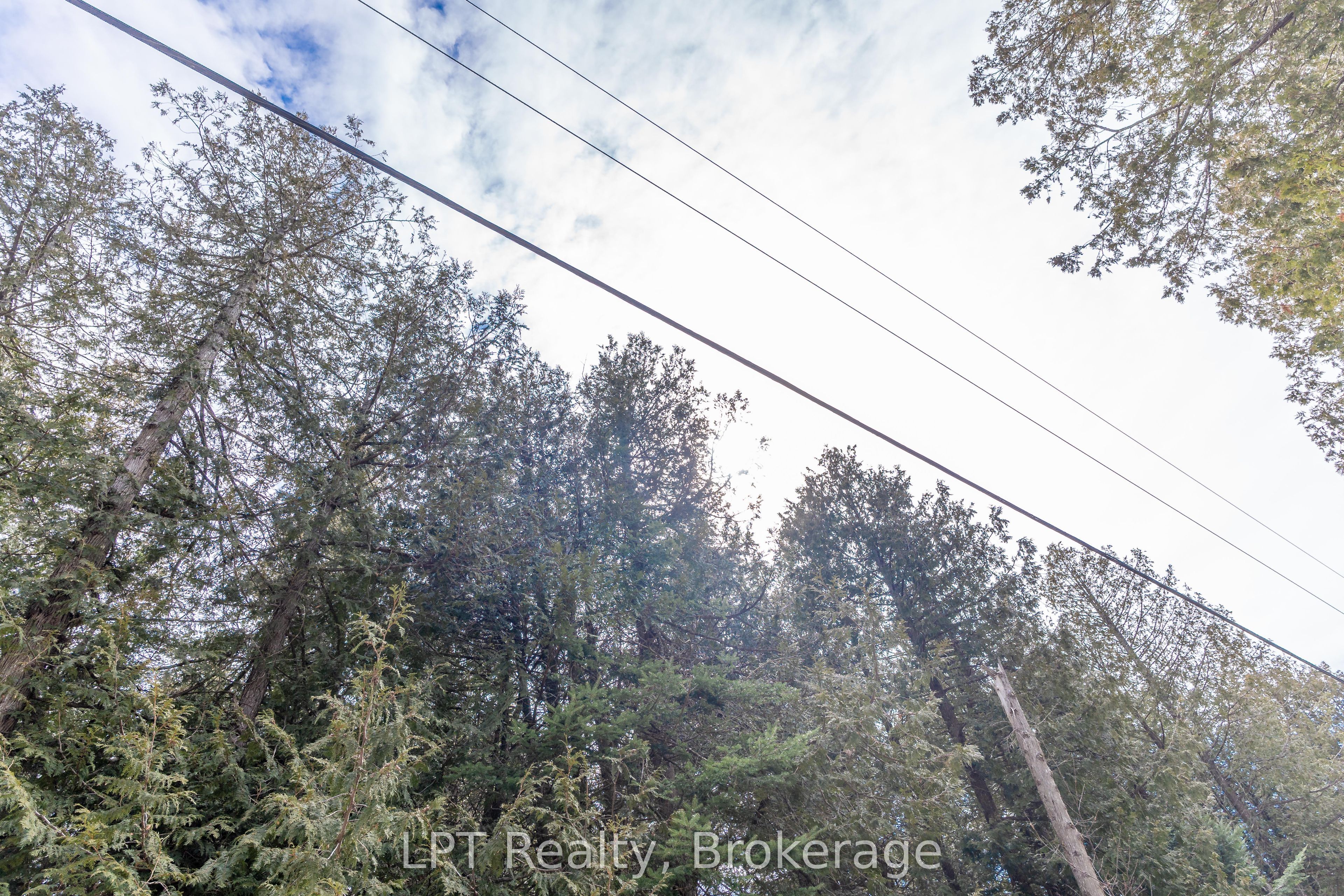 76 Myles Drive Property Photo 12