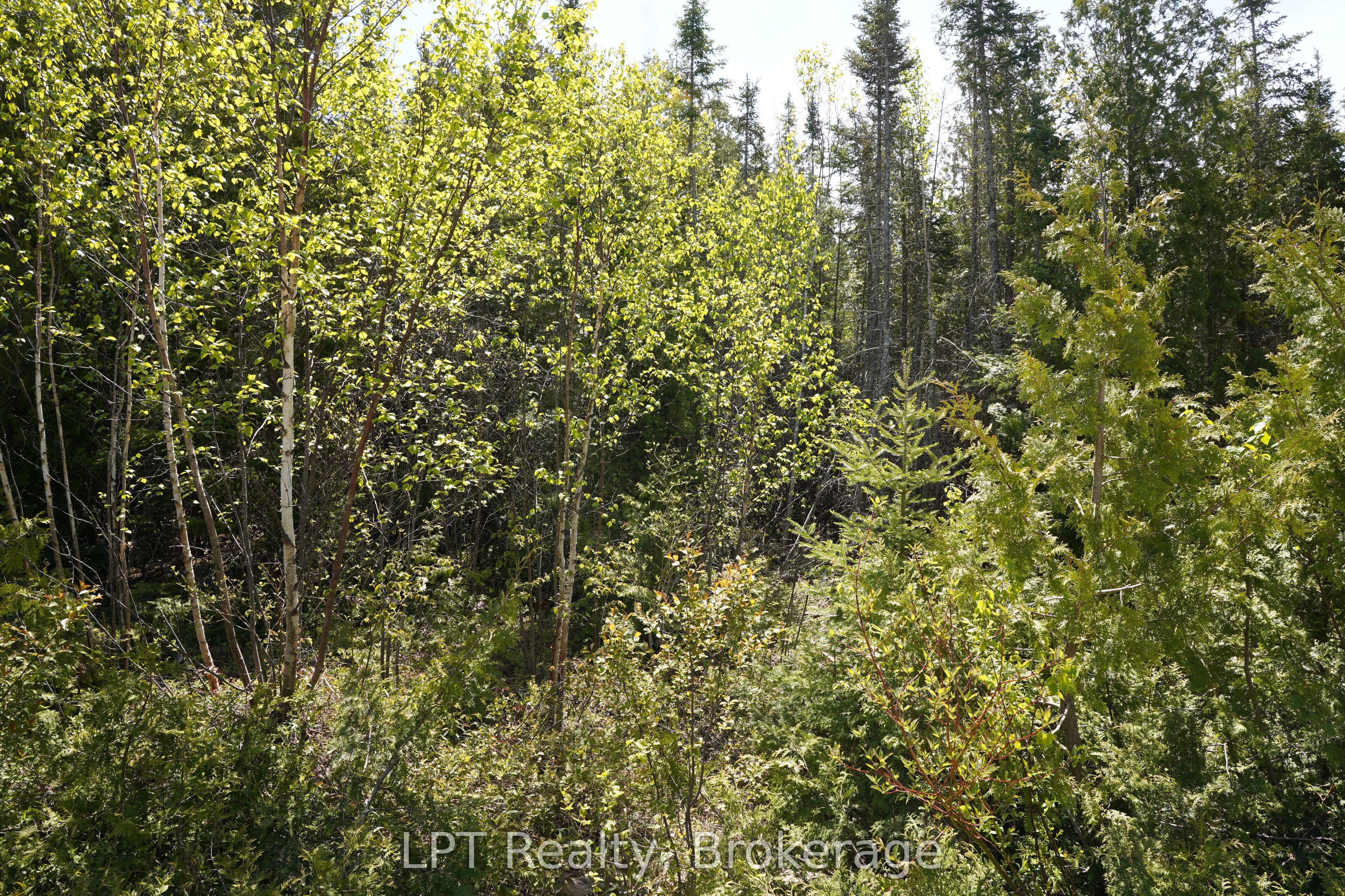 76 Myles Drive Property Photo 13