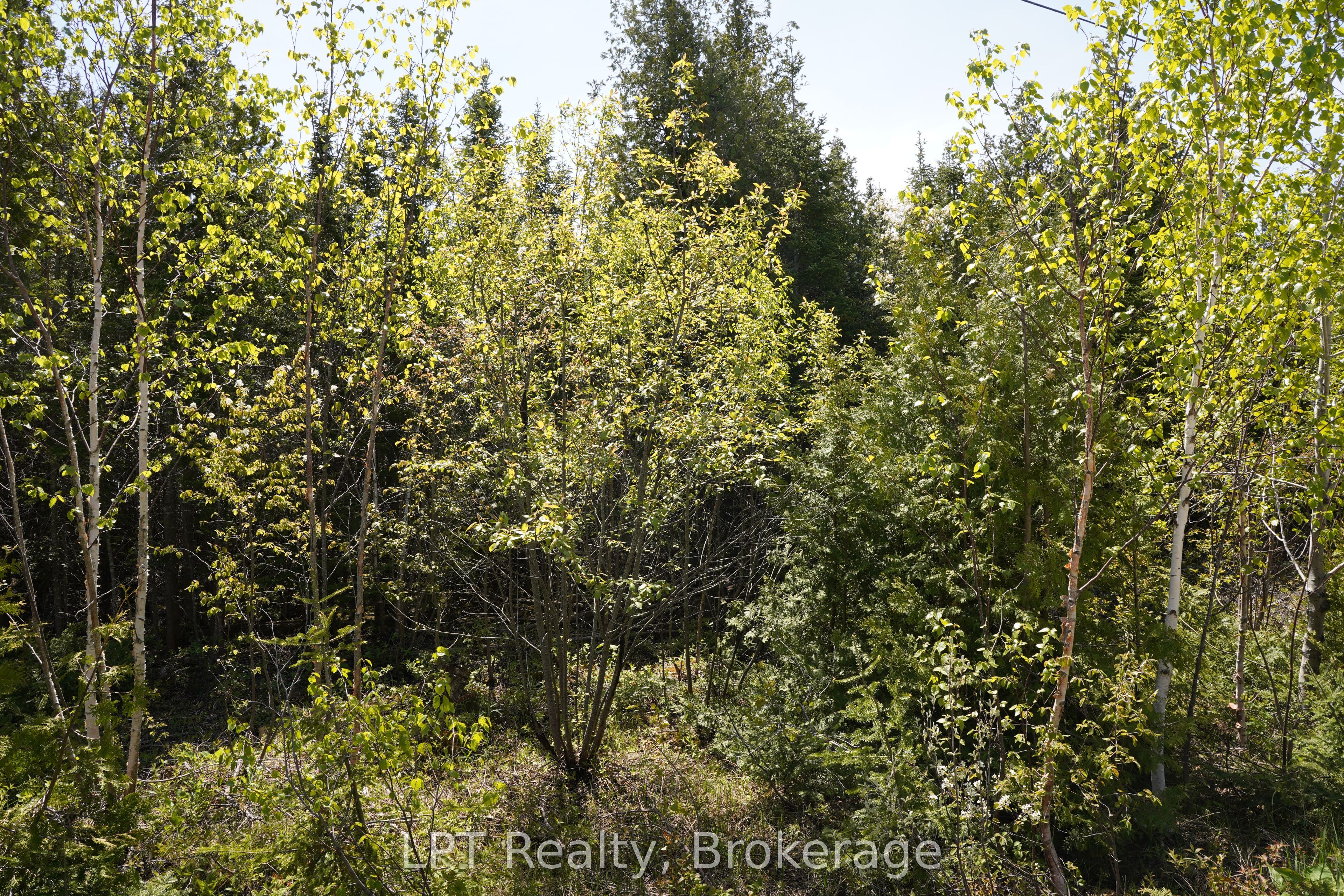 76 Myles Drive Property Photo 14