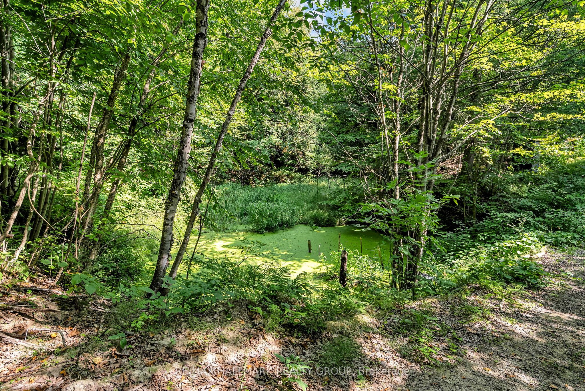 656 Ch Station Road Property Photo 37