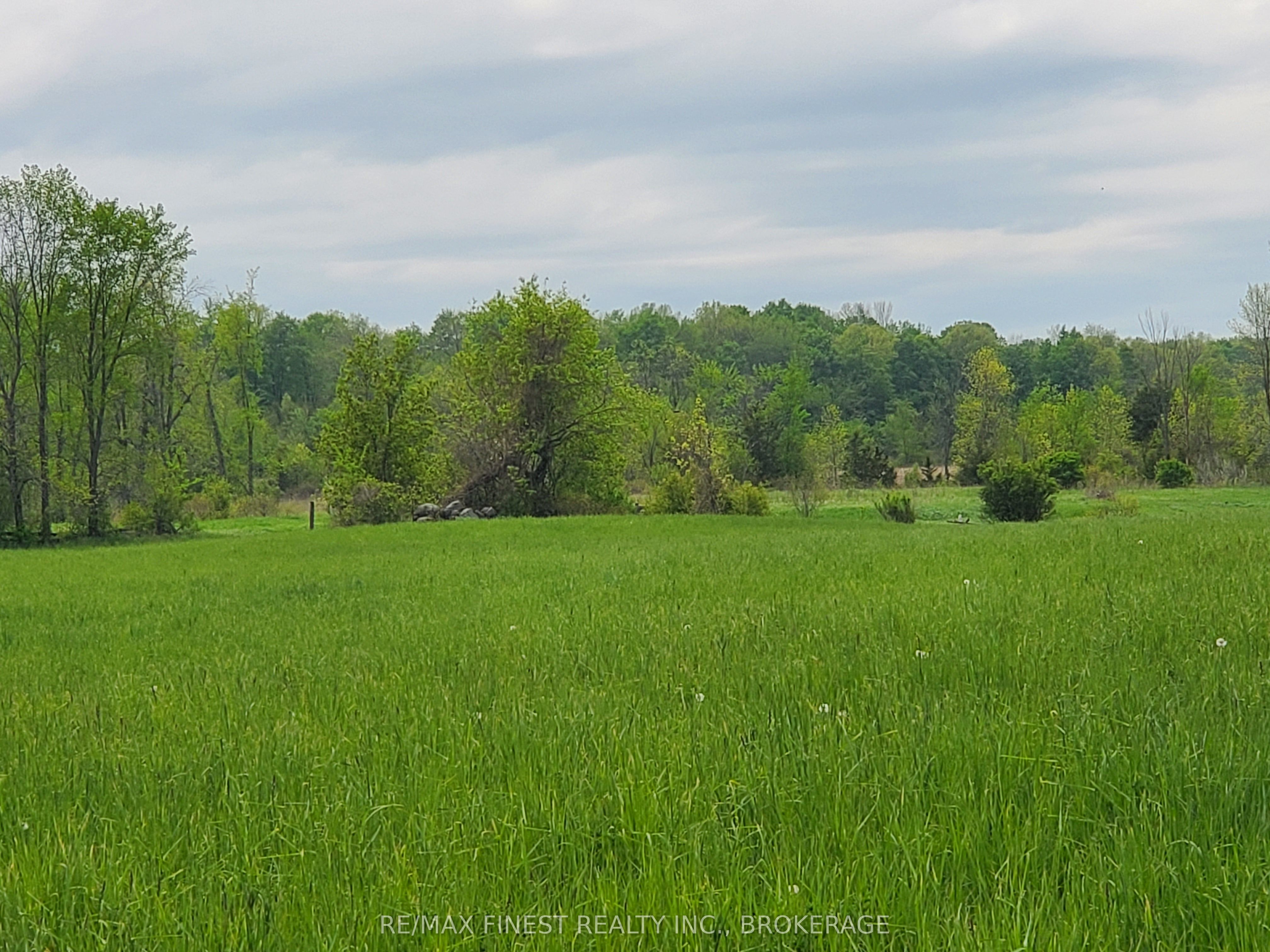 4677 Petworth Road Property Photo 5