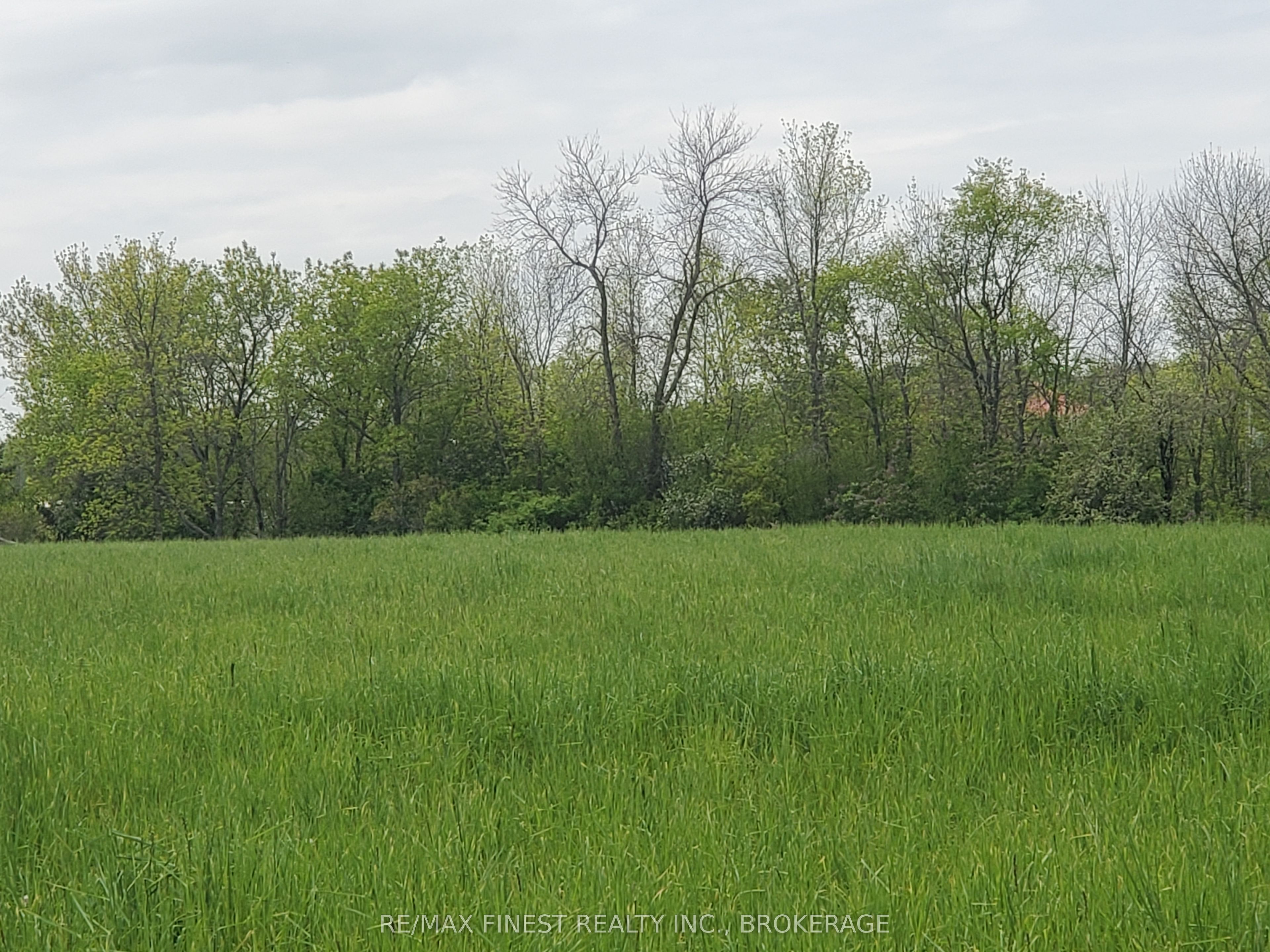 4677 Petworth Road Property Photo 6